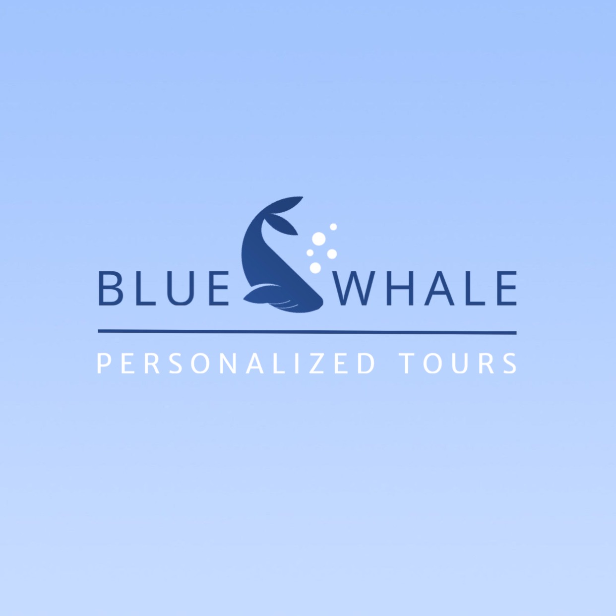Blue whale tourguide business logo template