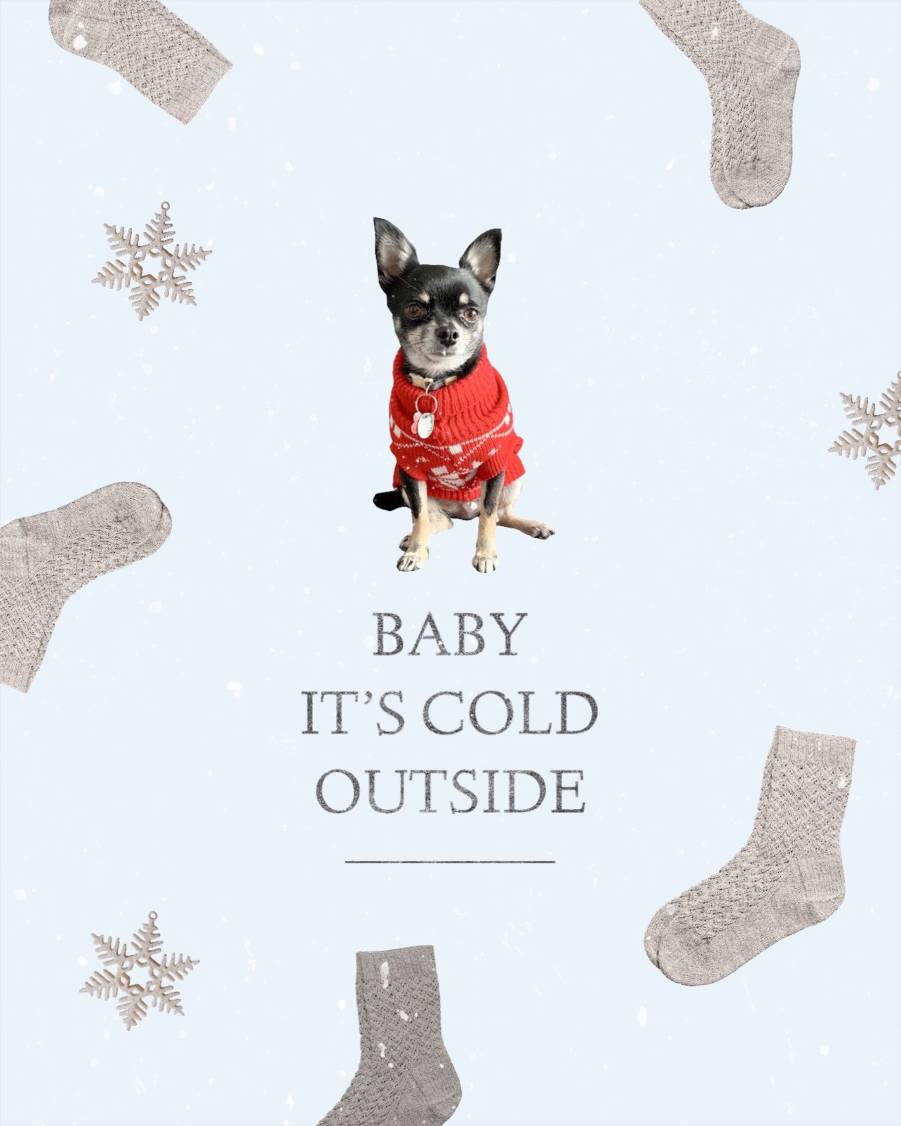 A Small Dog Wearing A Red Sweater And Socks Winter Wonderland Template