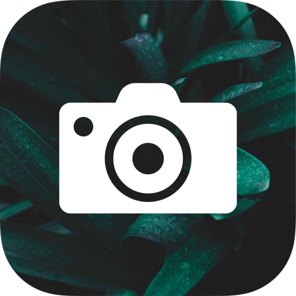 Photo Of A Ios14 Icons ? Template Design With A Camera With A Green Plant In The Background Ios14 Icons Template