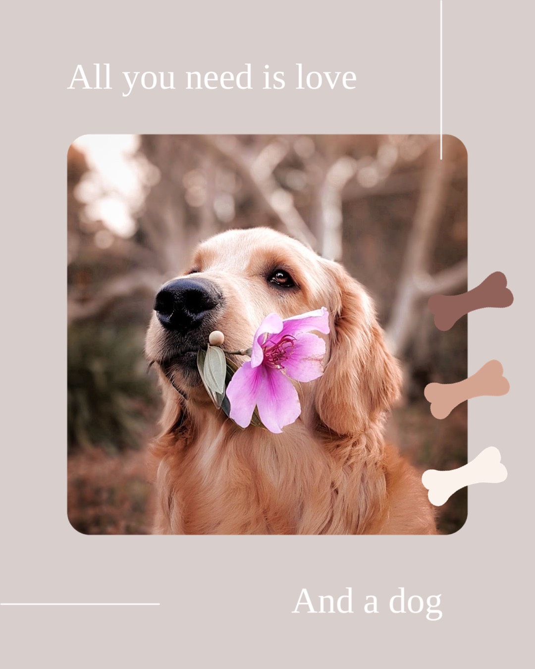 A Dog With A Flower In Its Mouth Pets Template