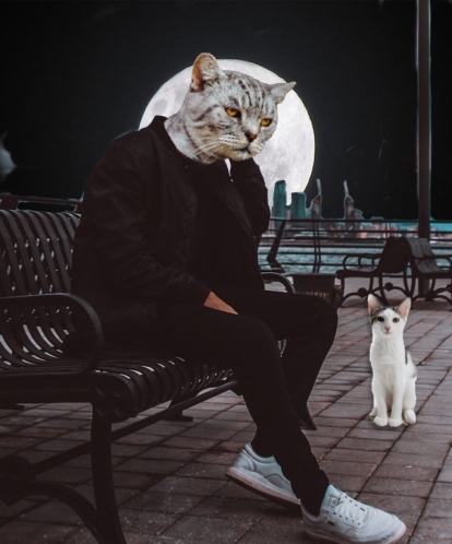 A Man Sitting On A Bench Next To A White Cat Collage Art Template