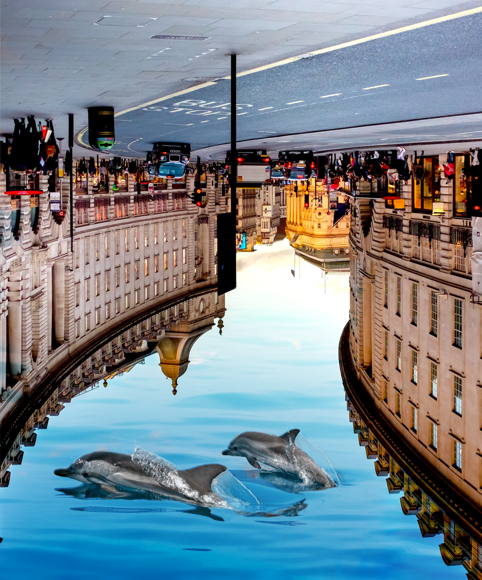 Upside down city with dolphins swimming collage art template