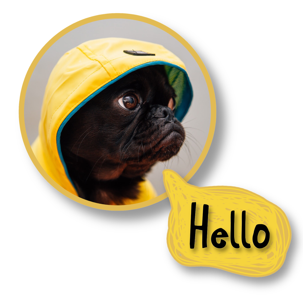 Pug dog with hoodie and hello speech bubble whatsapp stickers template