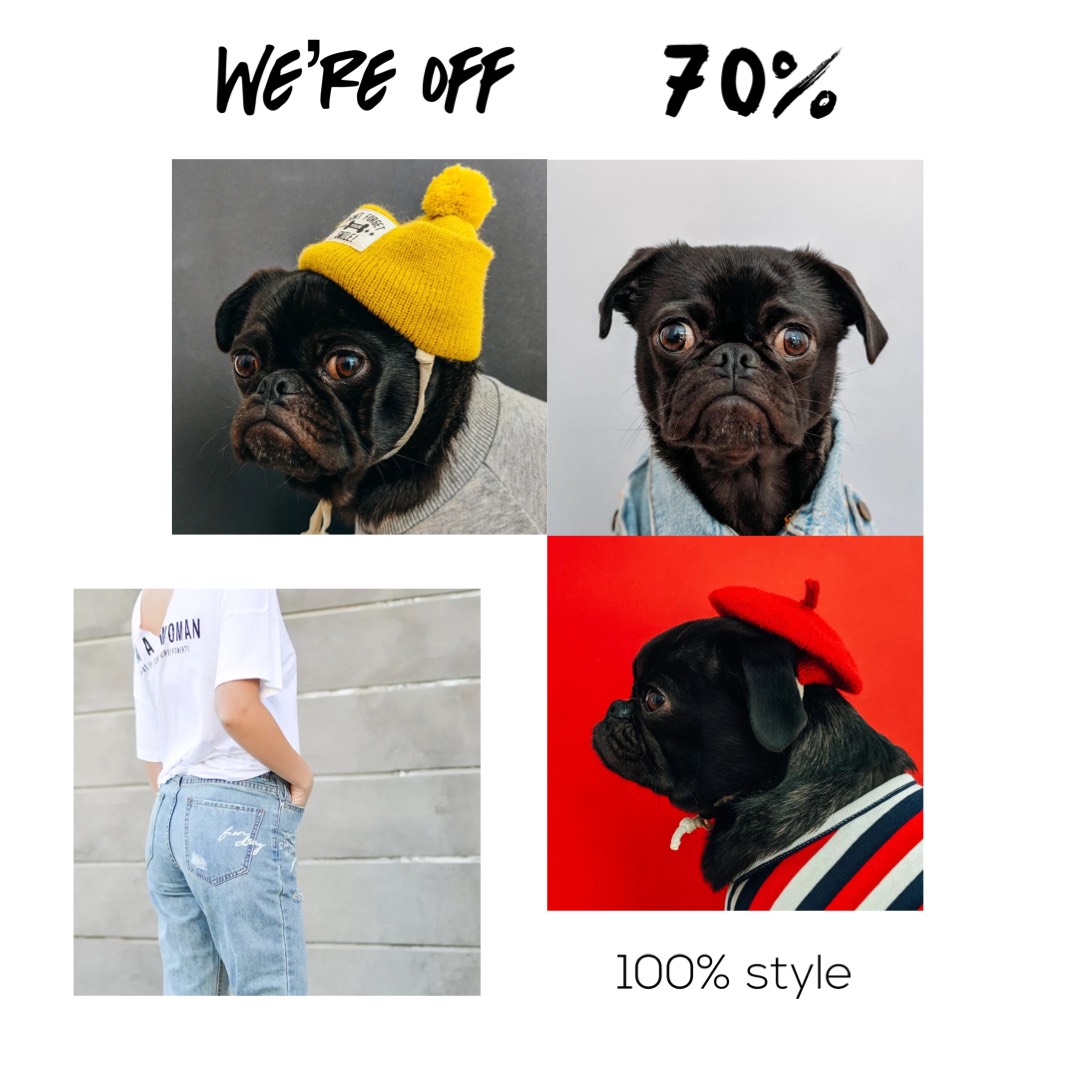 dogs with style fashion instagram post template