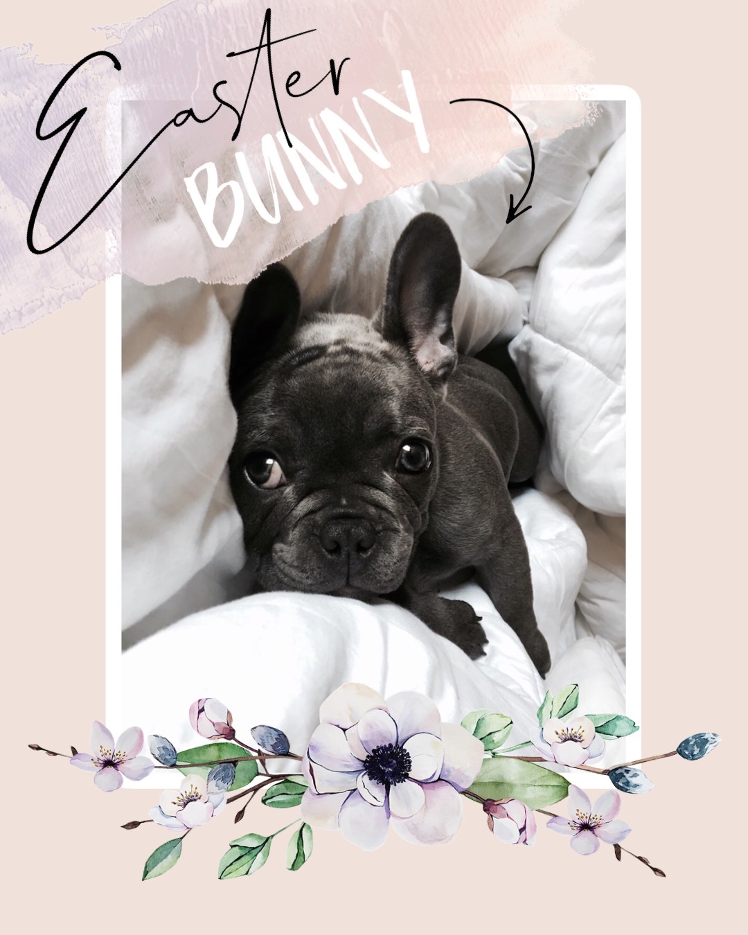 Cute Puppy Eastern Bunny Happy Easter Card Template