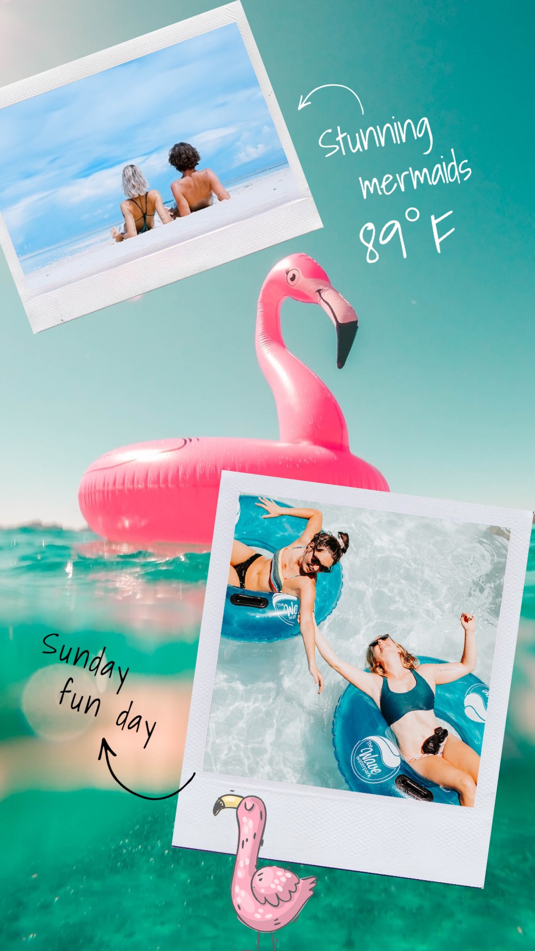 A Pink Flamingo Floating On Top Of A Body Of Water Summer Story Template