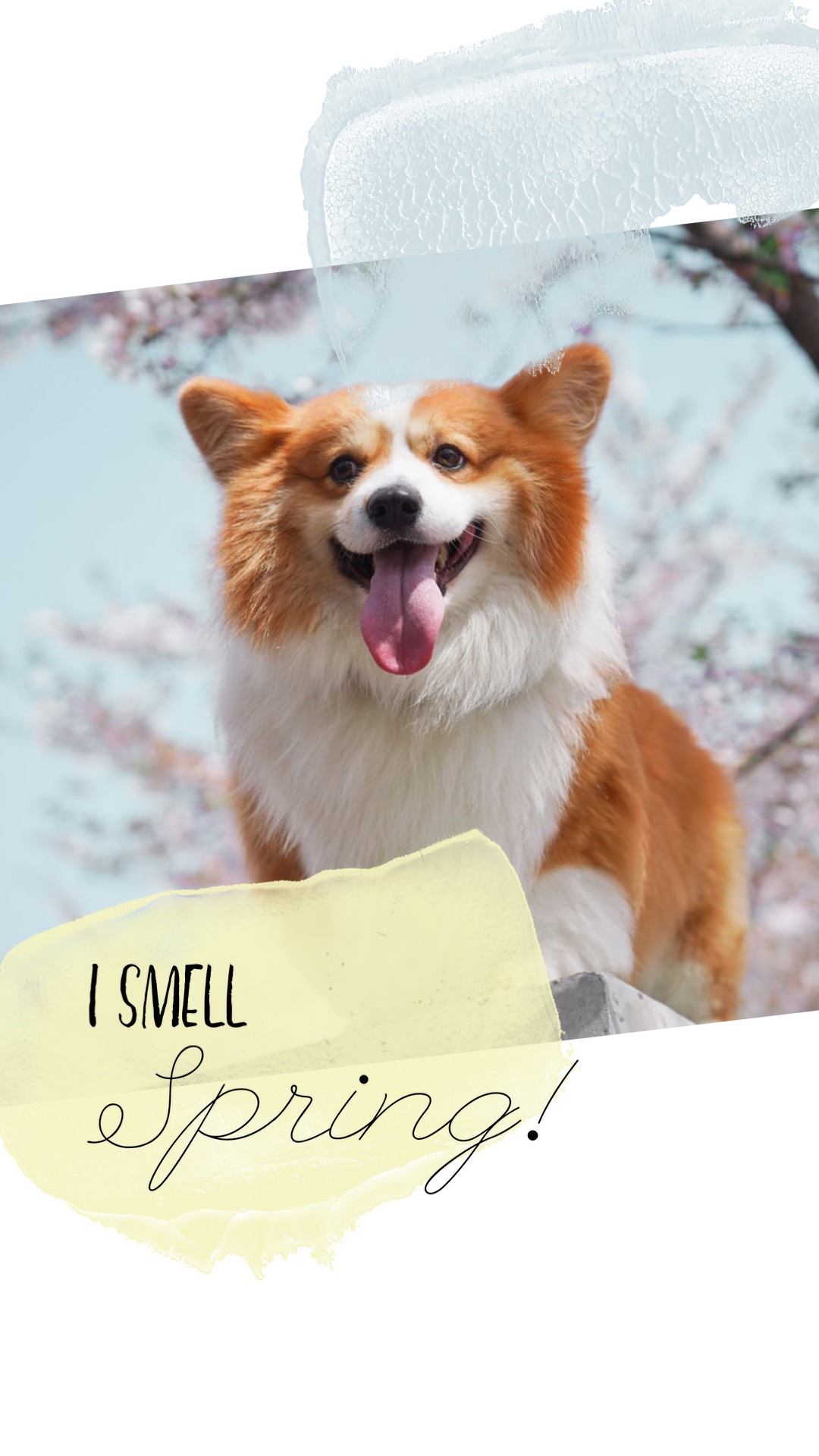 A Collage Of A Dog With A Note Saying I Smell Spring Spring Story Template
