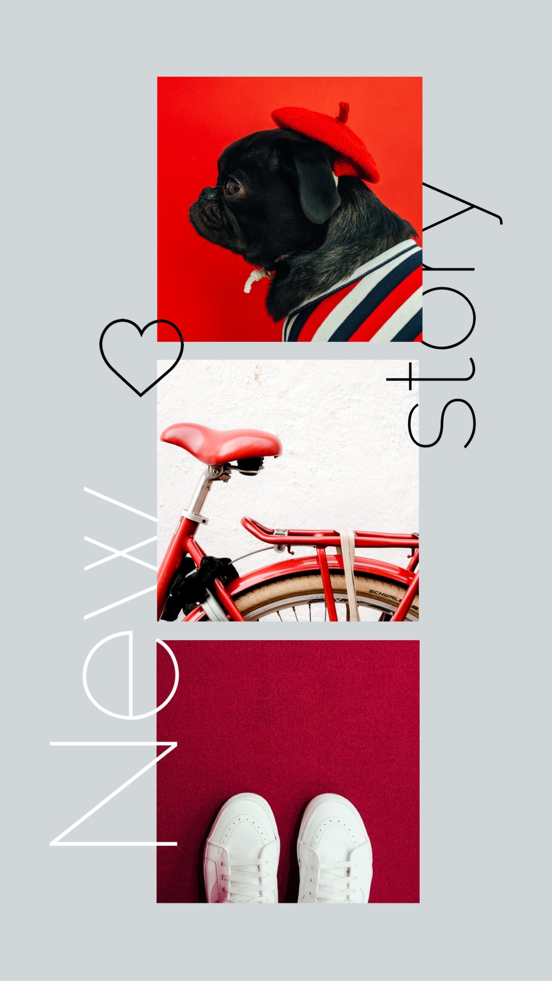 New Story Cute Dog And Bicycle Instagram Story Template