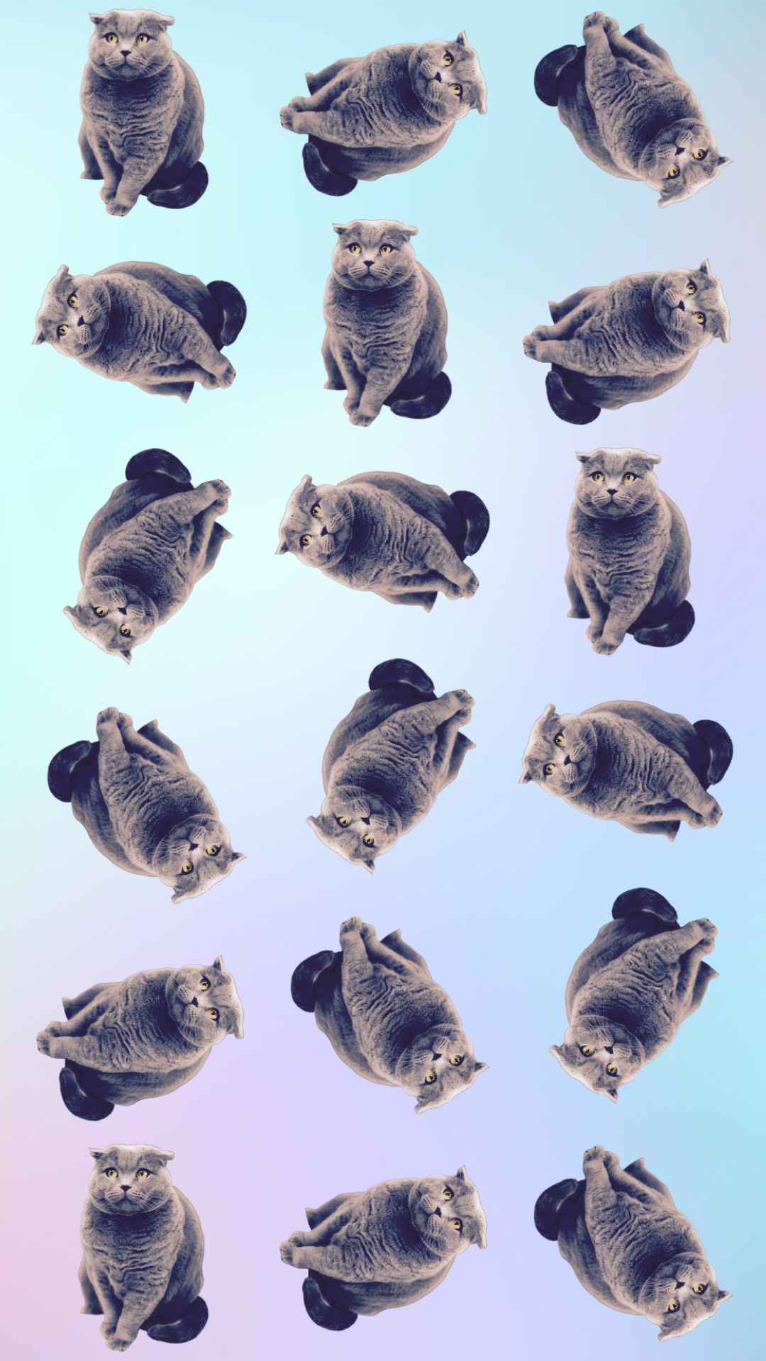 A Group Of Cats Sitting On Top Of Each Other Zoom Backgrounds Template
