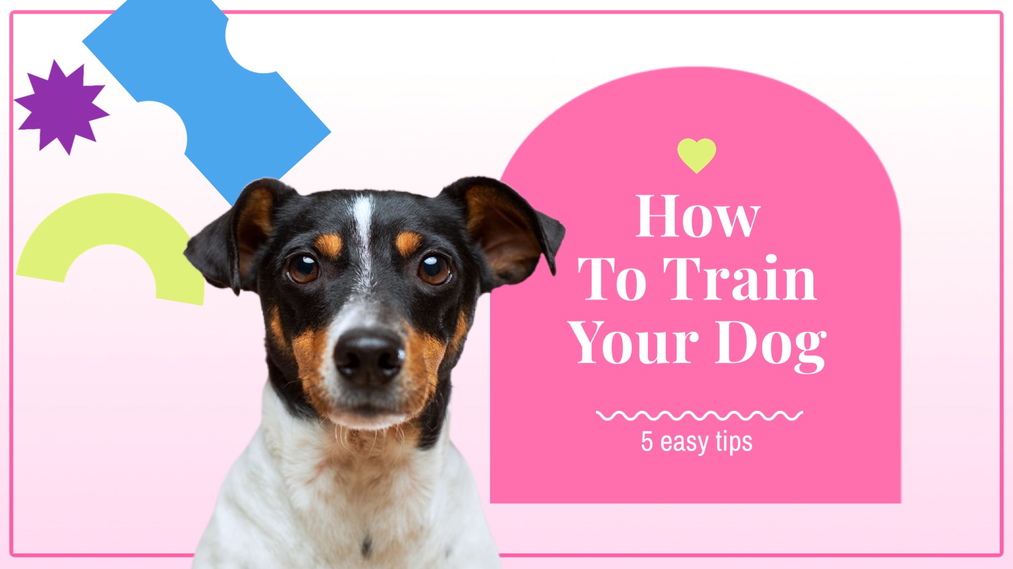 A Dog With The Title How To Train Your Dog Magic Youtube Thumbnail Template