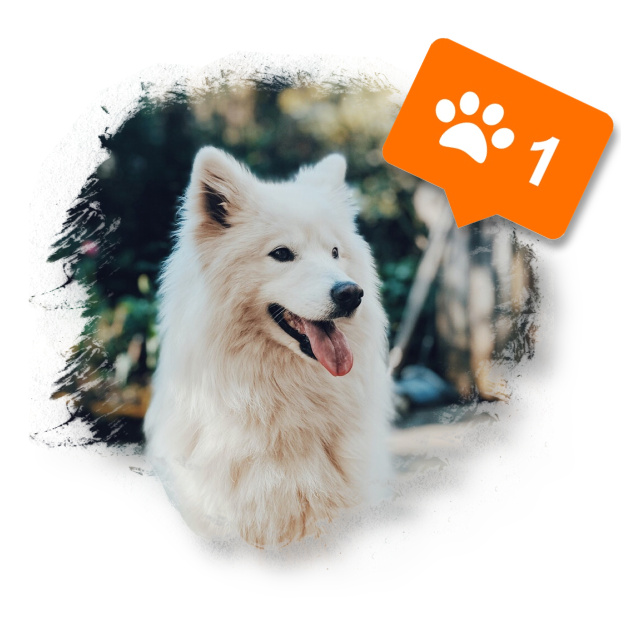 A White Dog With An Orange Tag Whatsapp Sticker Template