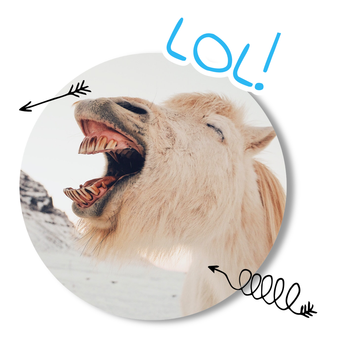 A Close Up Of A Goat With Its Mouth Open Whatsapp Stickers Template
