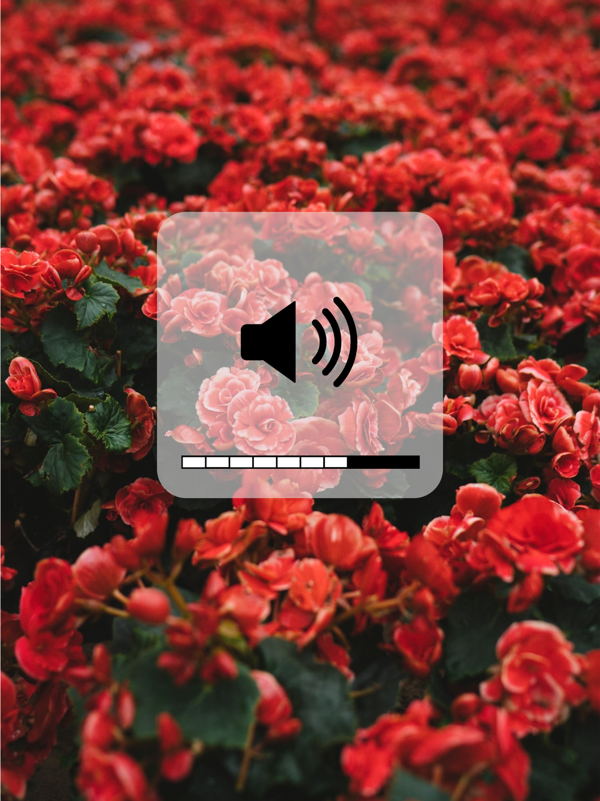 A Field Of Red Flowers With A Speaker On Top Of It Notifications Template