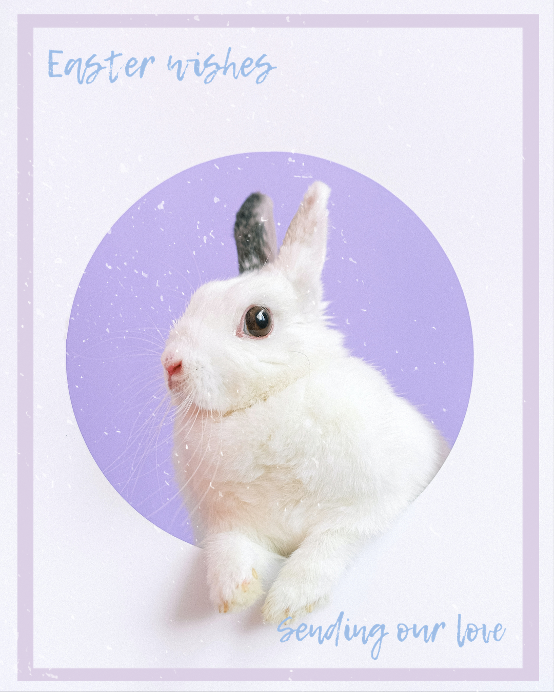 Cute Rabbit Happy Easter Wishes Template