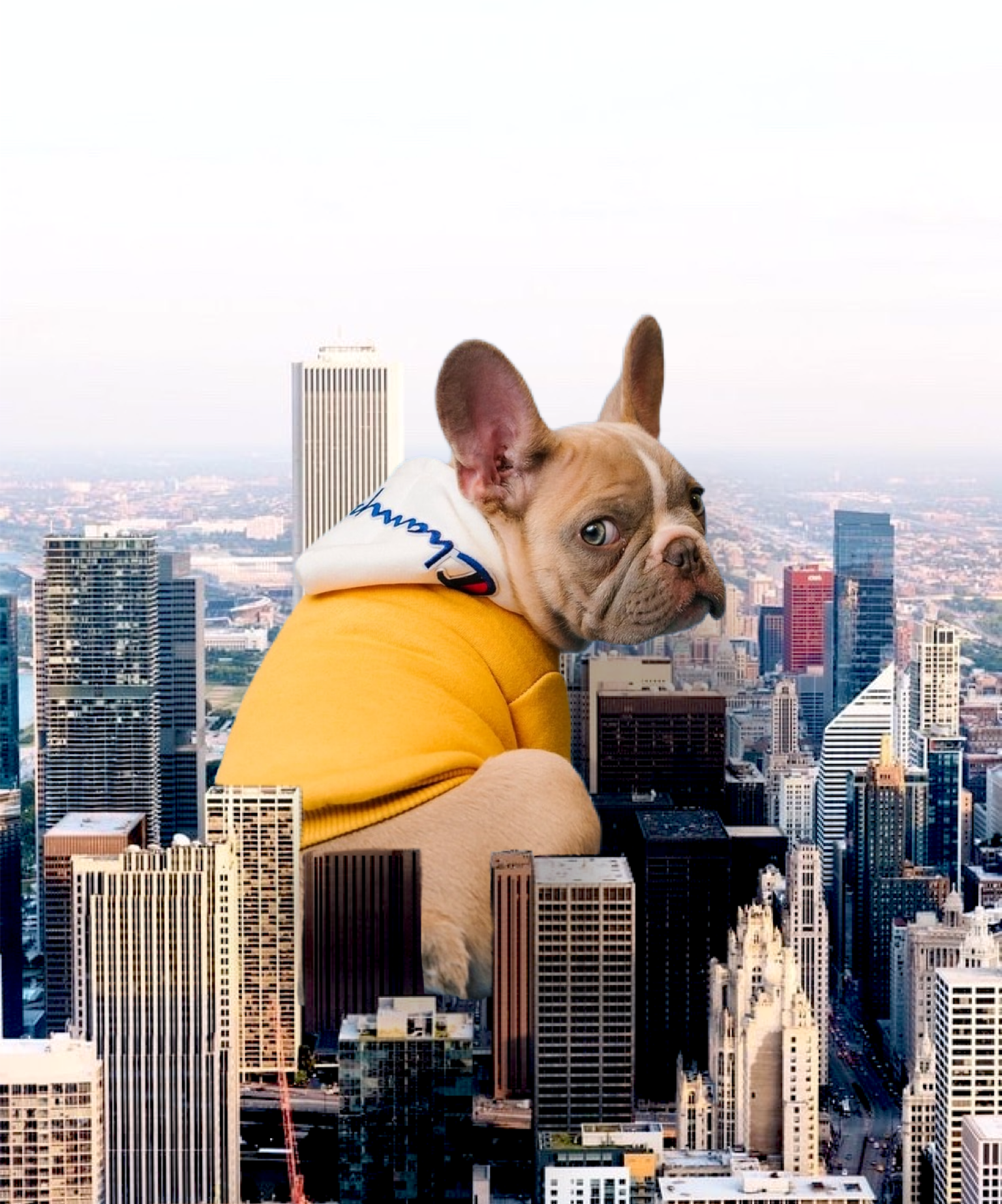 Dog Sitting Between City Buildings Collage Art Template