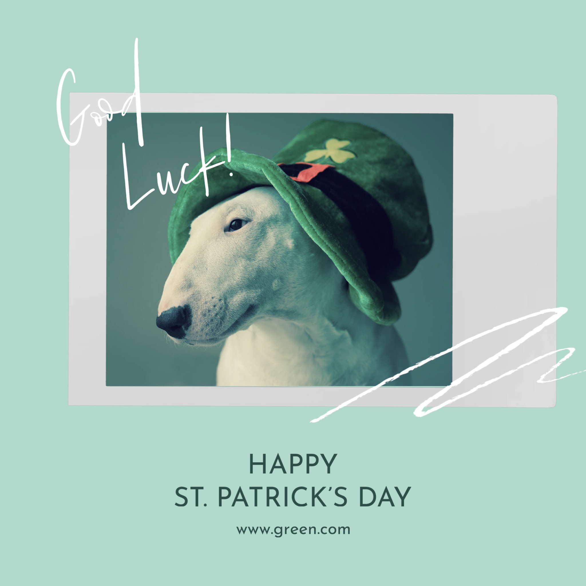 A White Dog Wearing A Green Hat And A St Patrick'S Day Message St Patrick S Day Template