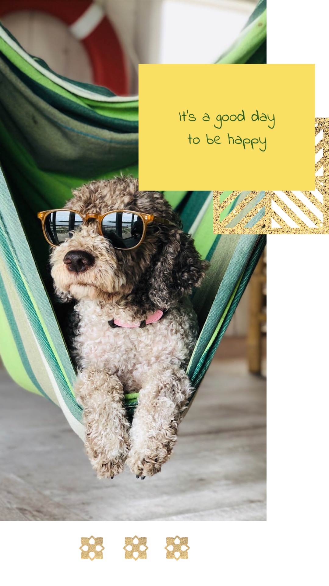 A Dog Wearing Sunglasses Is Sitting In A Hammock Summer Story Template
