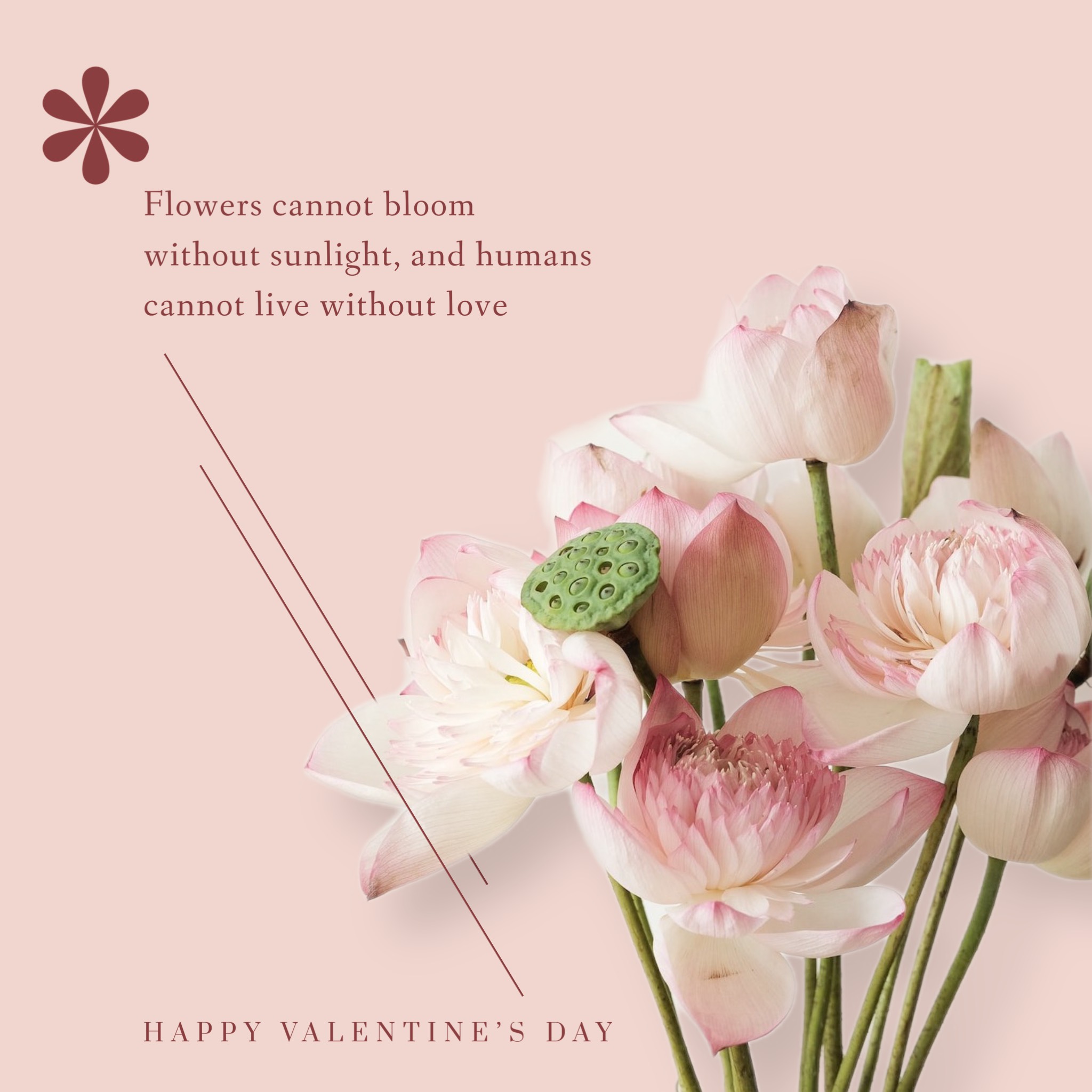 Valentine’s quote magic photo of flowers instagram post template