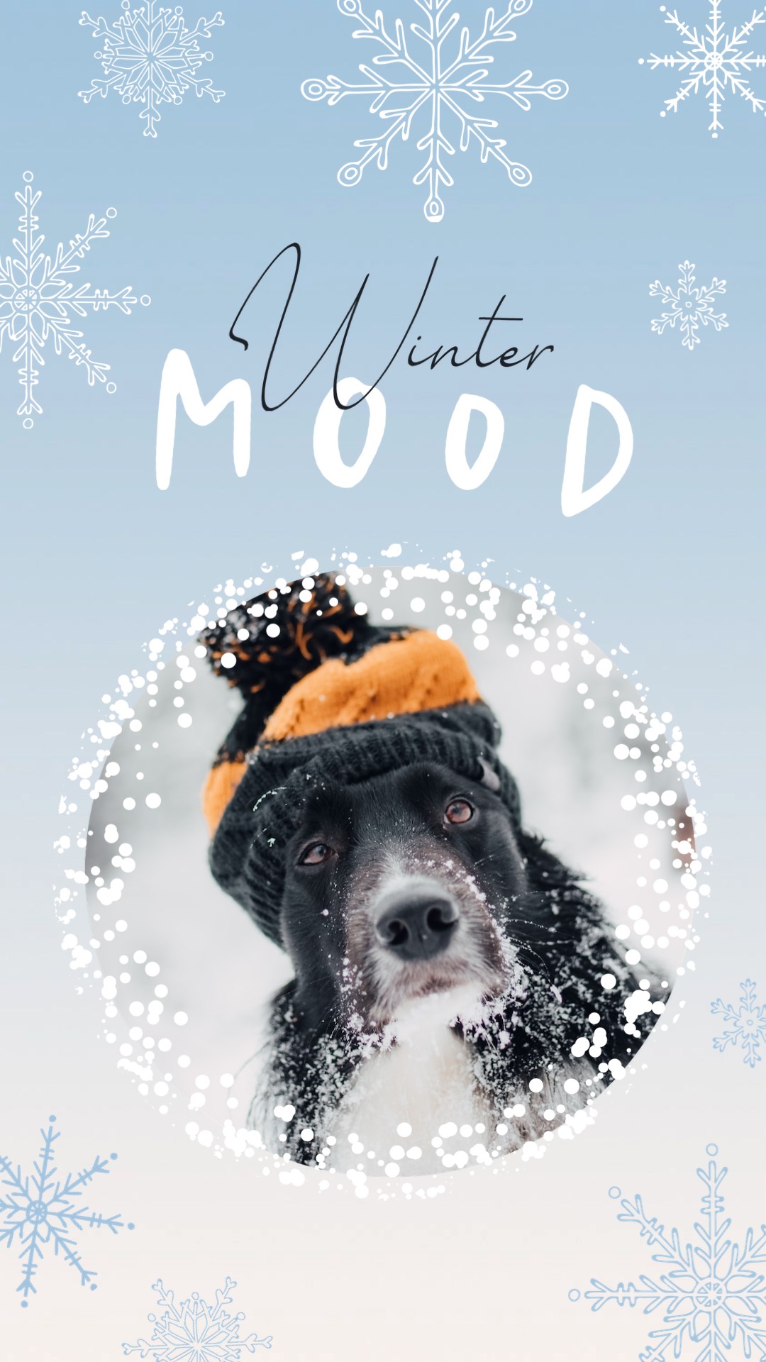 Dog wearing a hat while it snows "winter mood" Story template