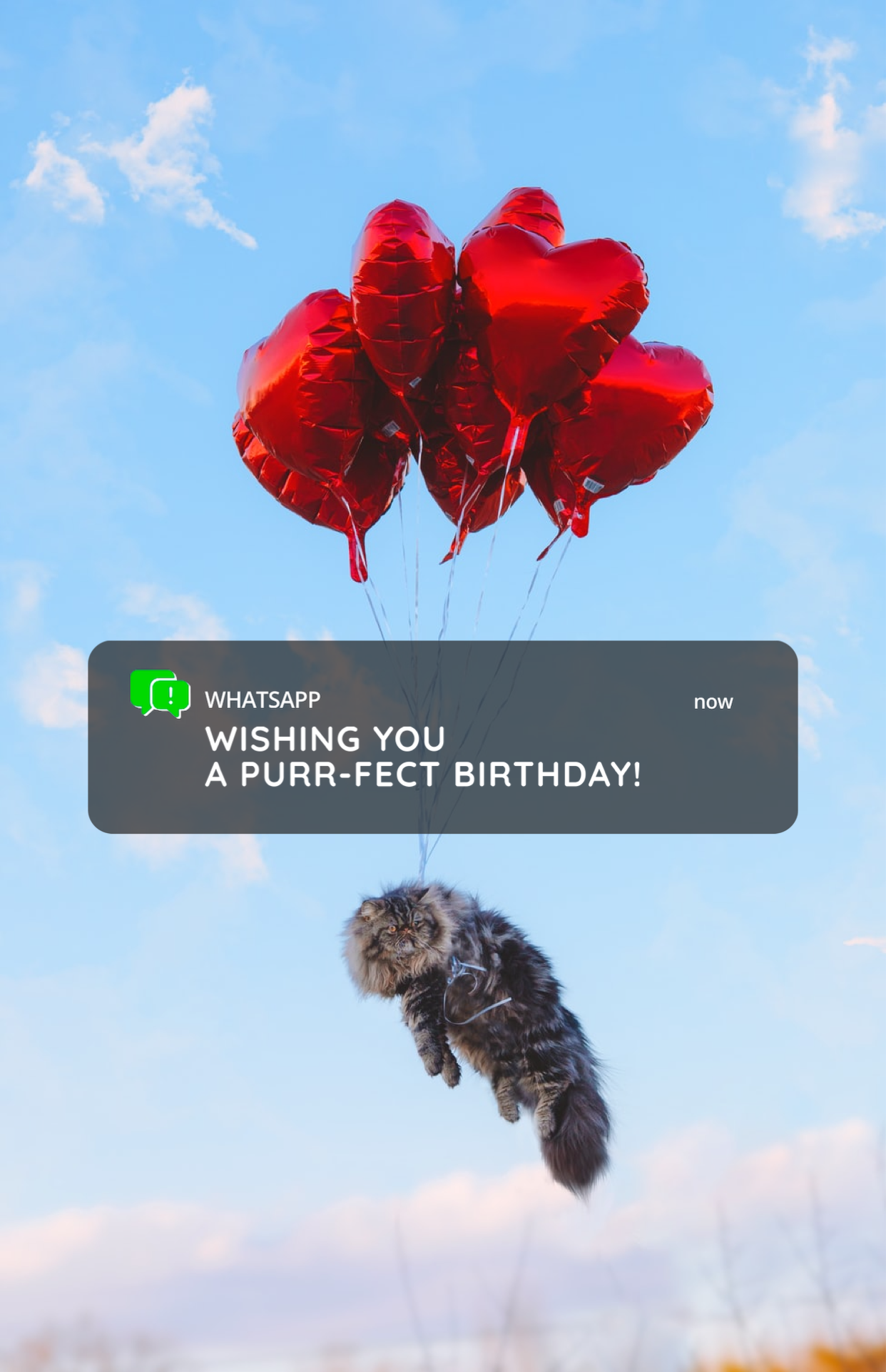Red Balloons Wishing You A Purr-fect Birthday Template