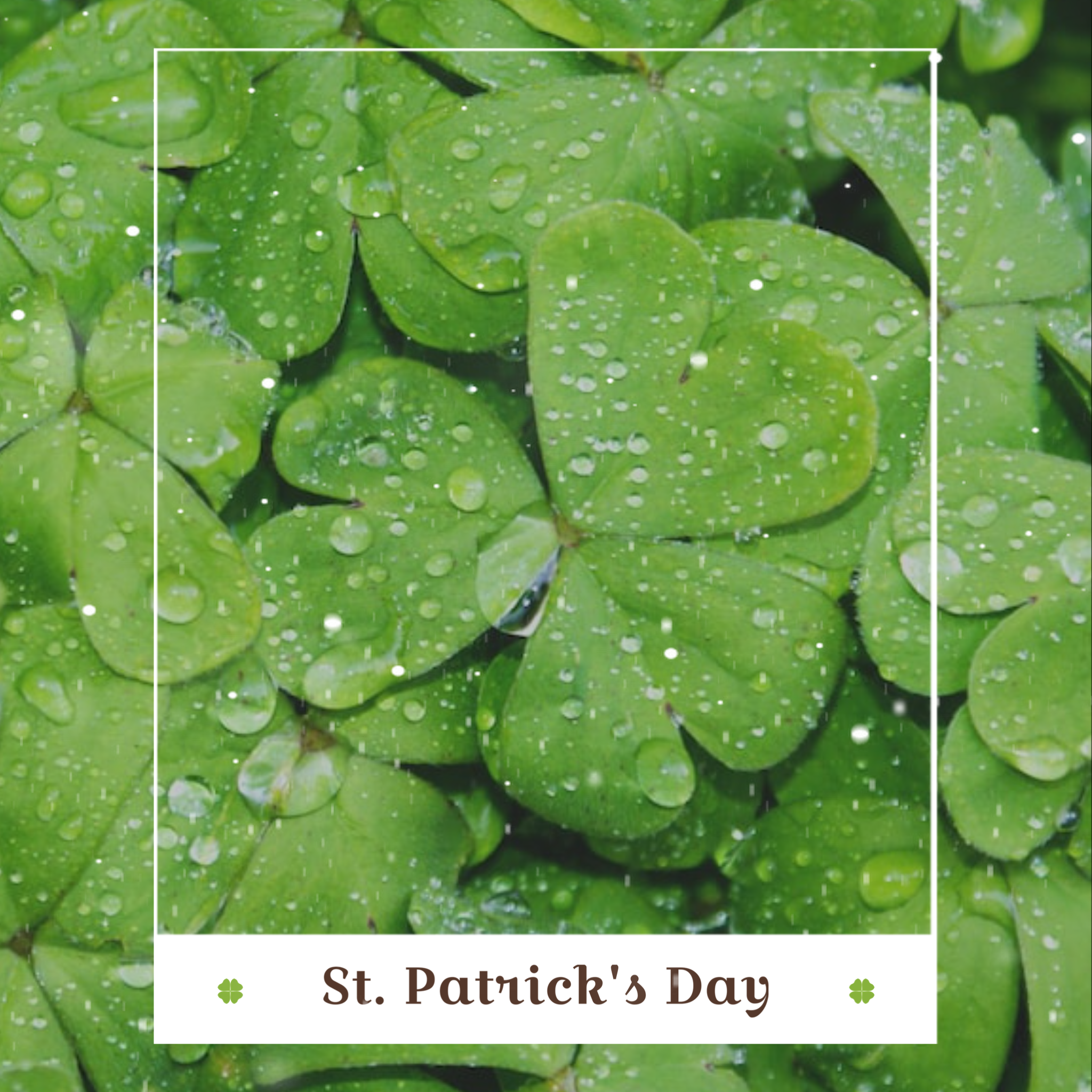 green clovers pattern happy st. Patrick’s day instagram post