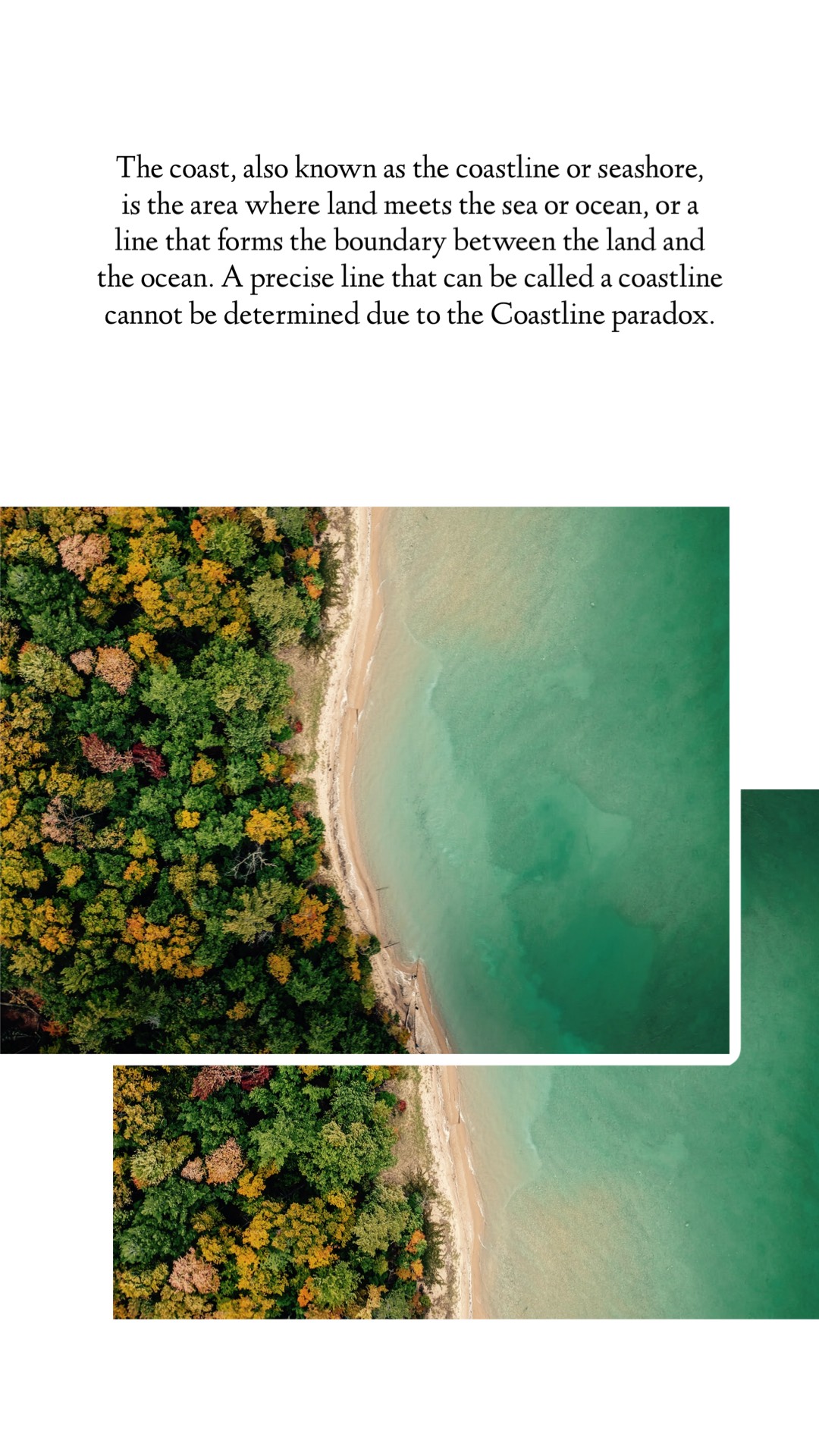 An Aerial View Of A Beach And Trees Classy Template