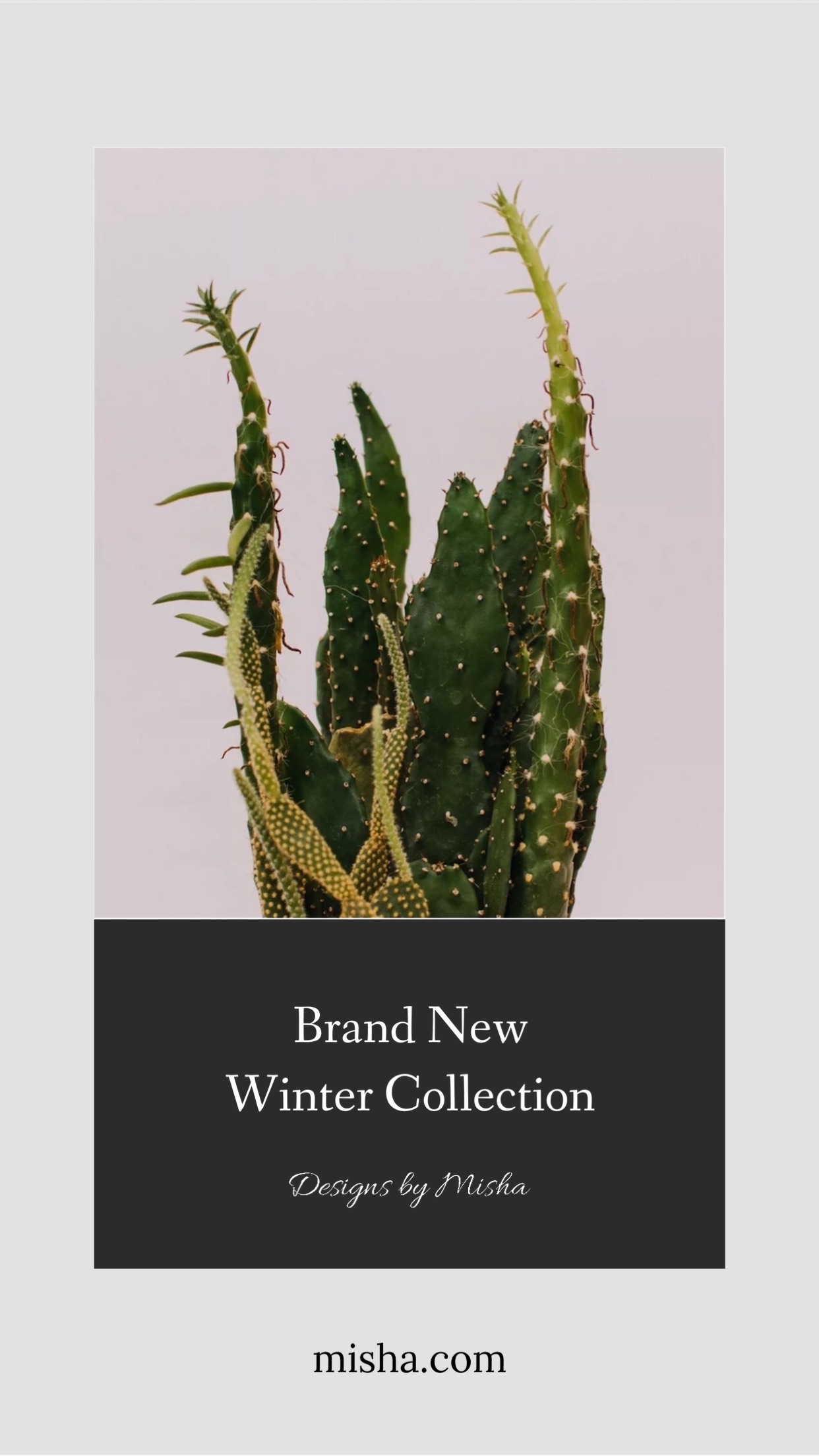 The Brand New Winter Collection Is Here Template