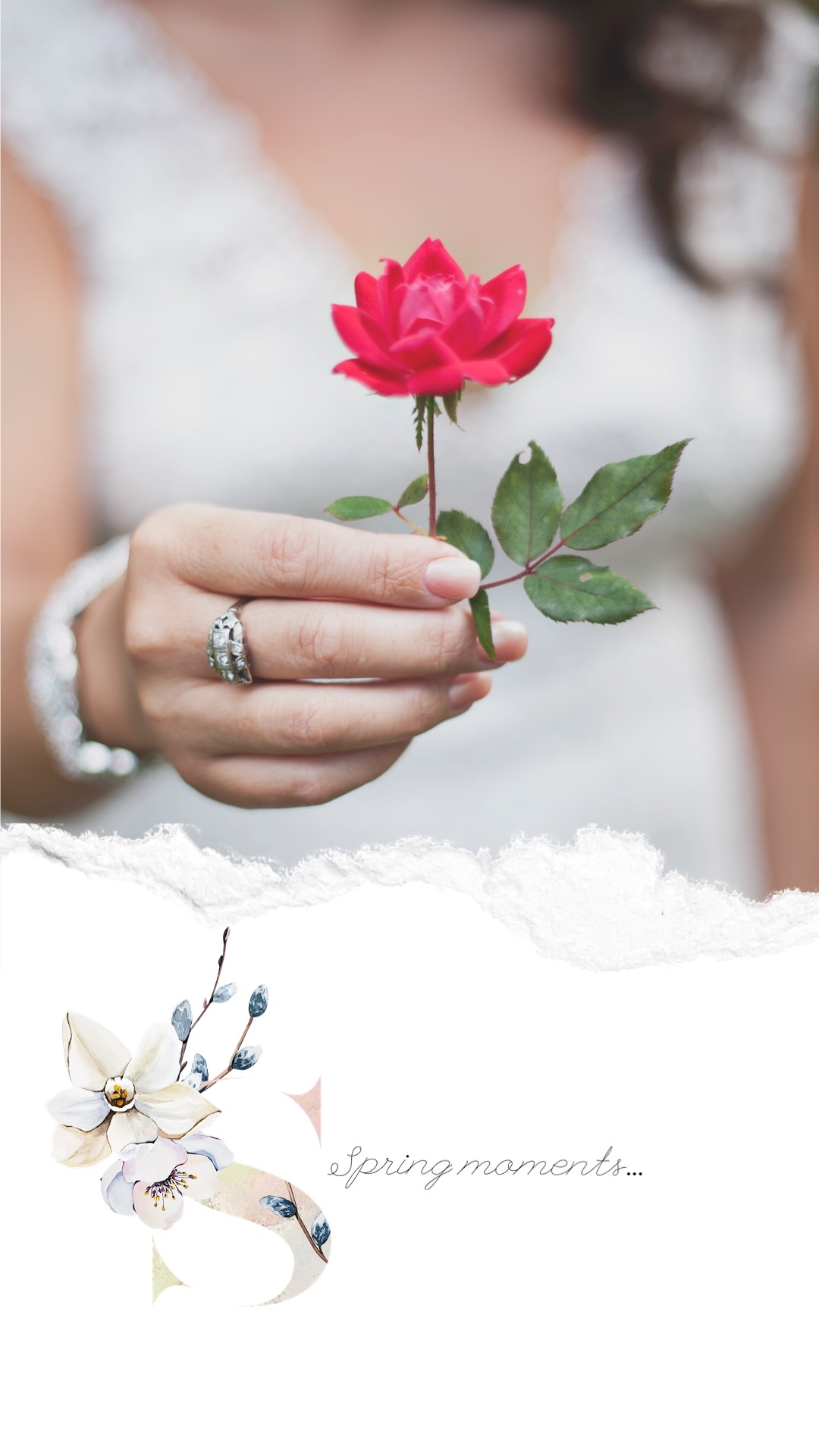 A Woman Holding A Red Rose In Her Hand Spring Story Template