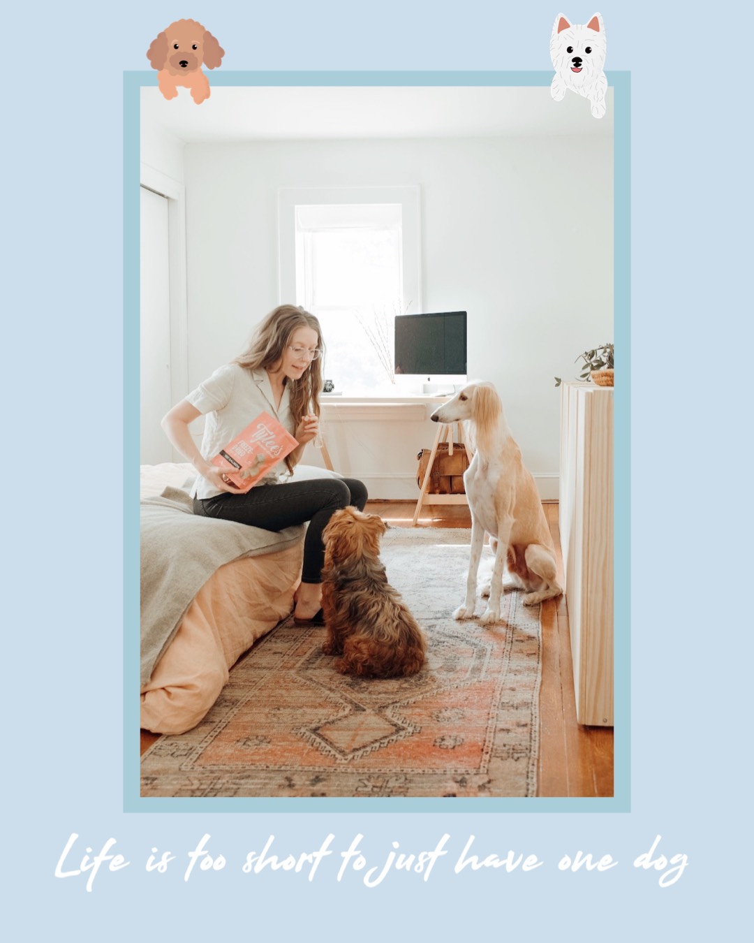 A Woman Sitting On A Bed With Two Dogs Pets Template