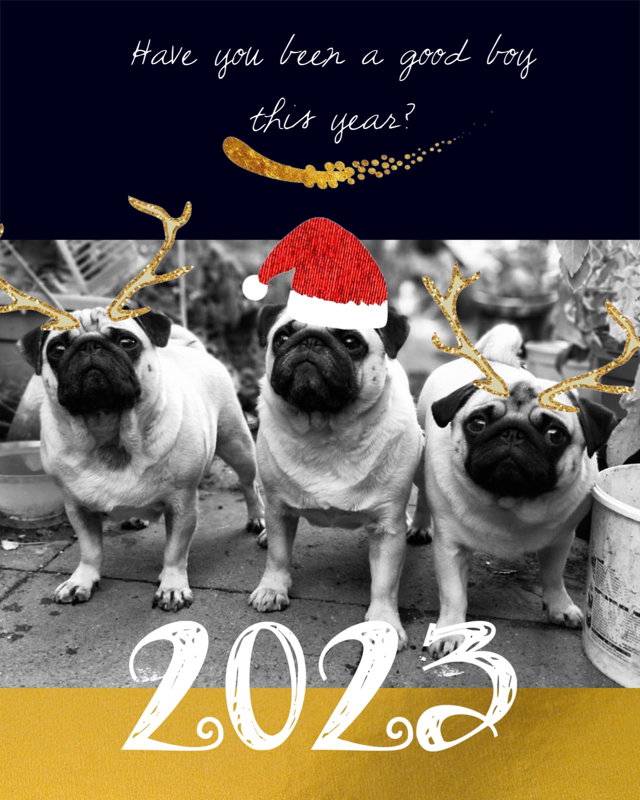 A Group Of Pug Dogs Wearing Christmas Hats Merry Christmas Template