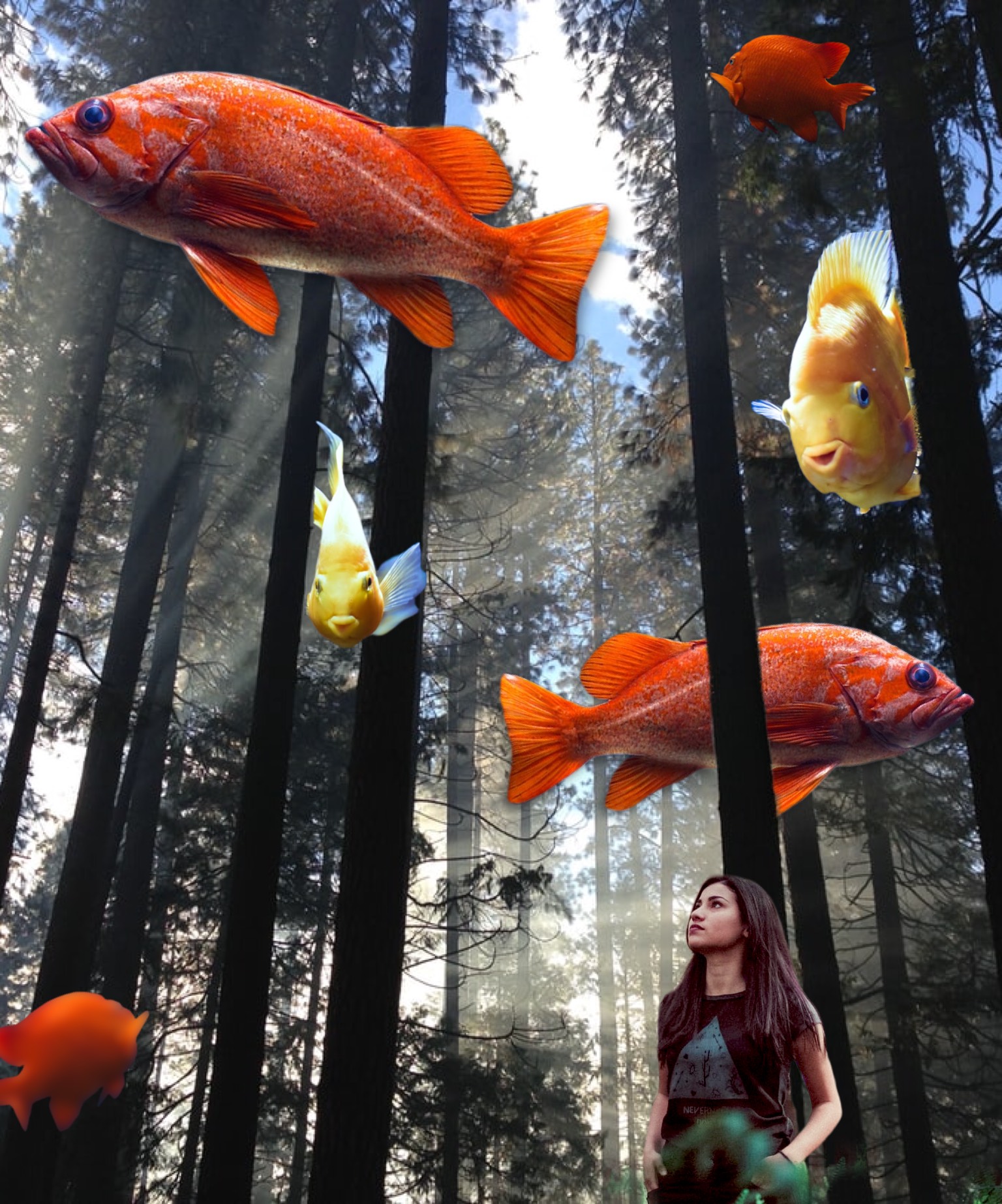 A Woman Standing In Front Of A Forest Filled With Fish Collage Art Template