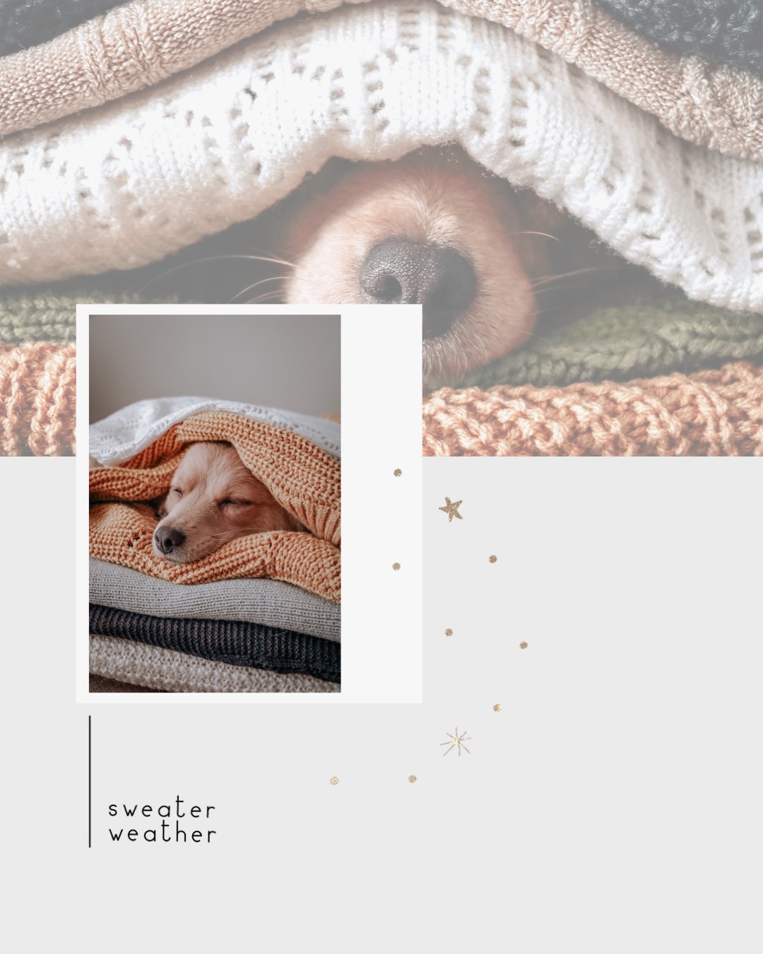 Dog laying between sweaters Winter Wonderland template