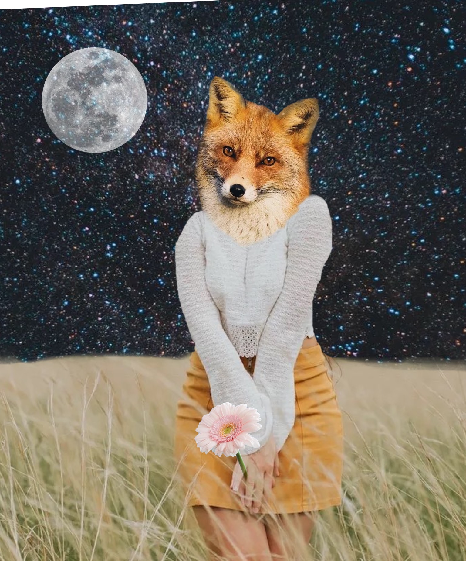 Girl fox in the field moon and space collage art template