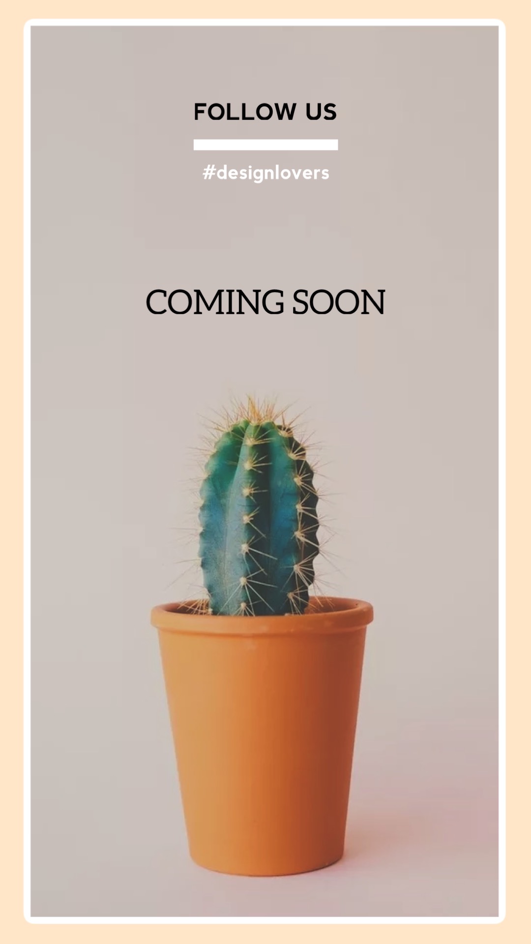 Cactus plant sale instagram story template