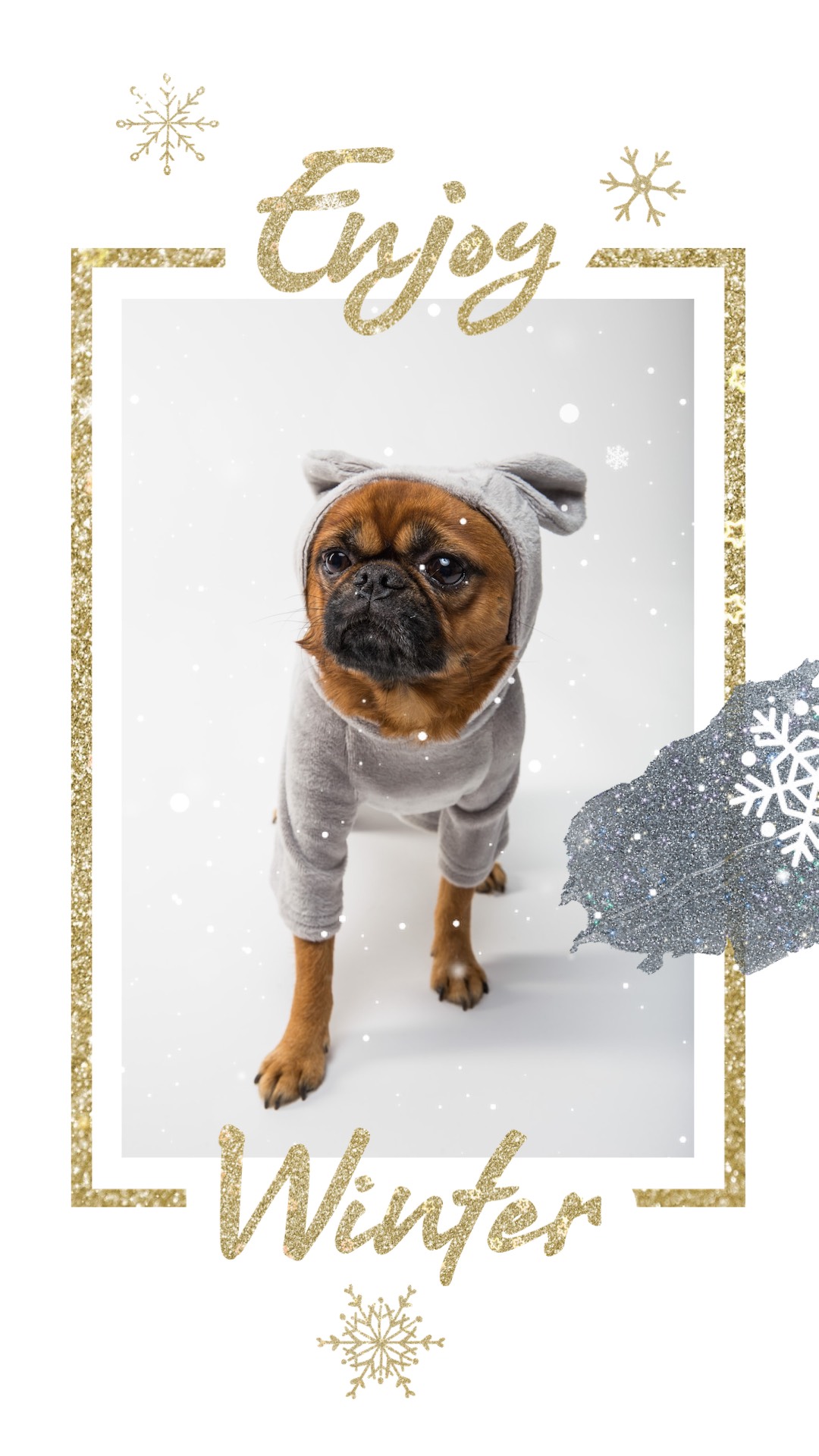 Dog wearing a wanzi with snowflakes enjoy winter Story template