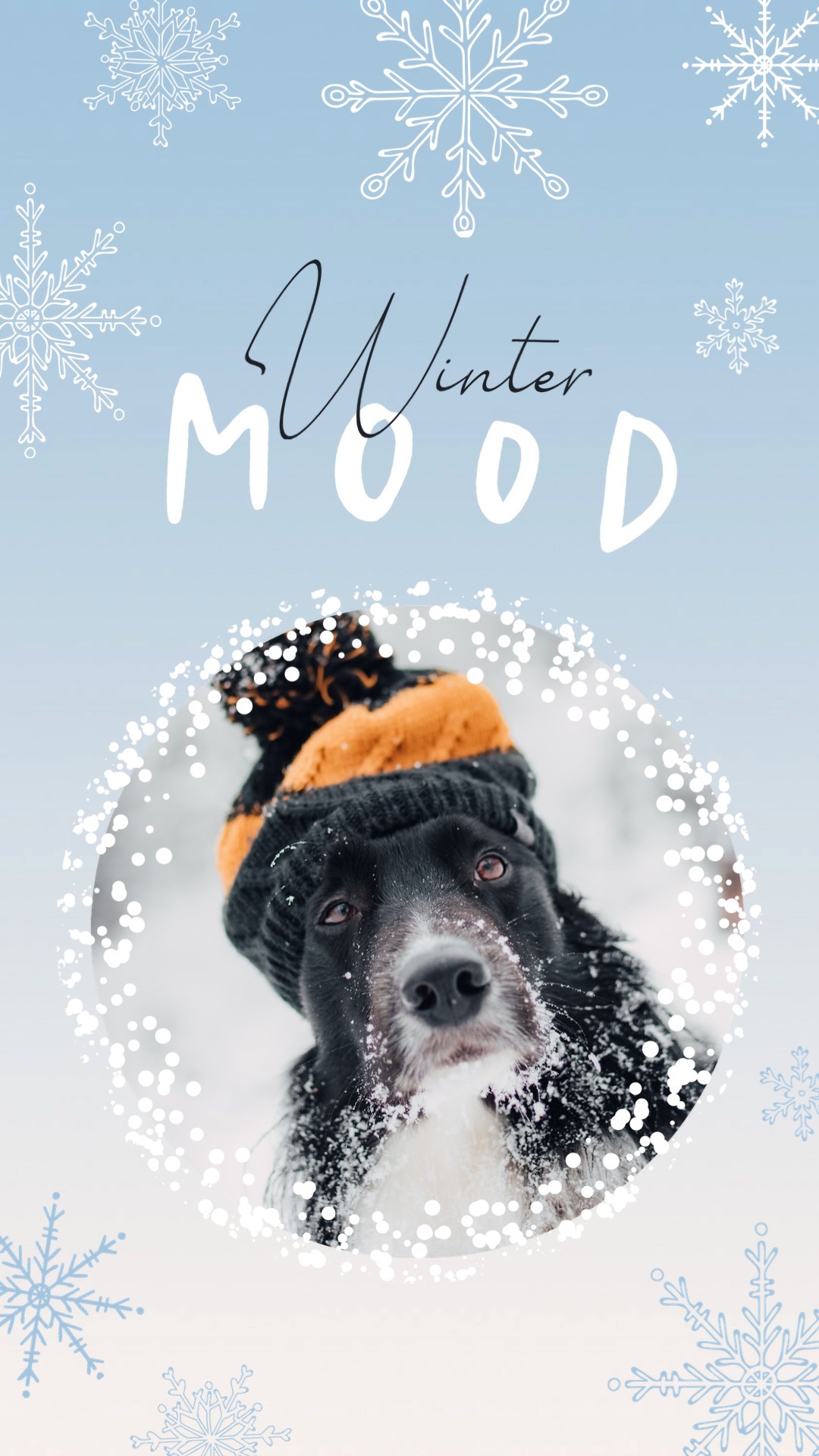 A Black And White Dog Wearing A Winter Hat Winter Story Template