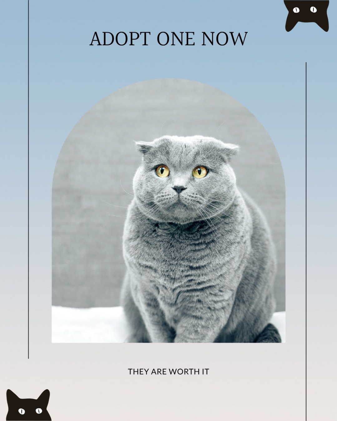 A Gray Cat Sitting On Top Of A Table Pets Template