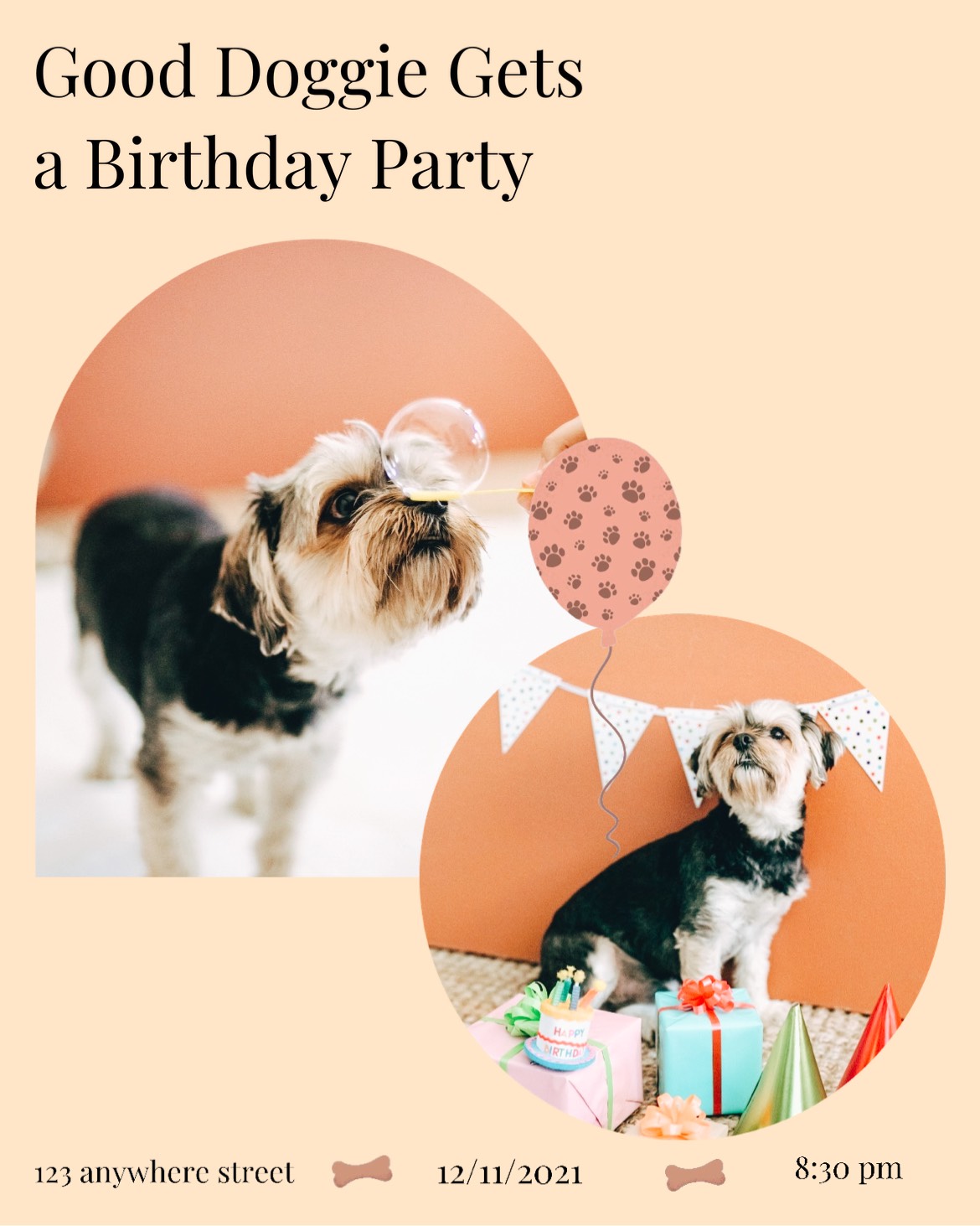 A Birthday Party With A Dog And A Cake Pets Template