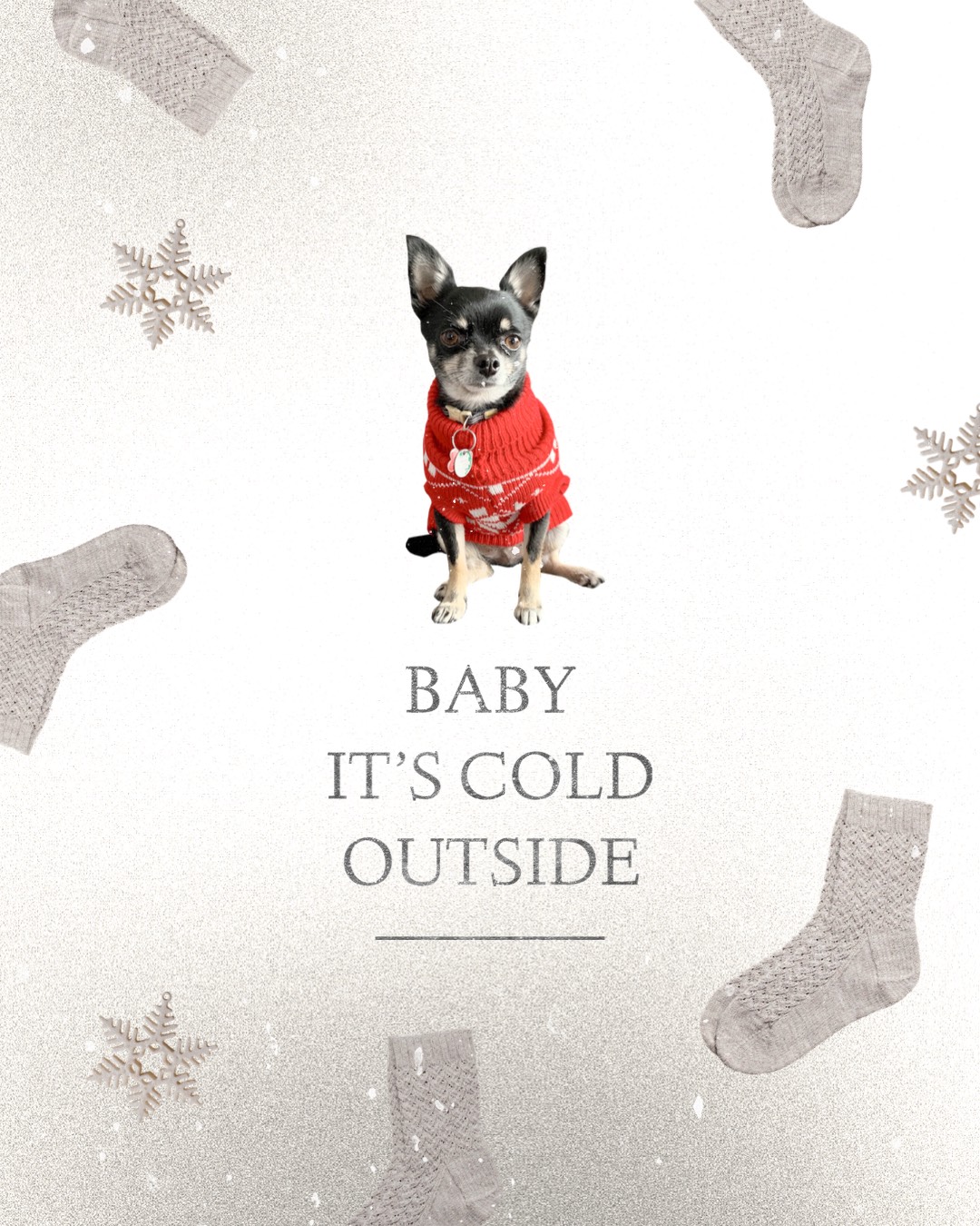 Baby it's cold outside! Dog with socks and snowflakes pattern Winter Wonderland template