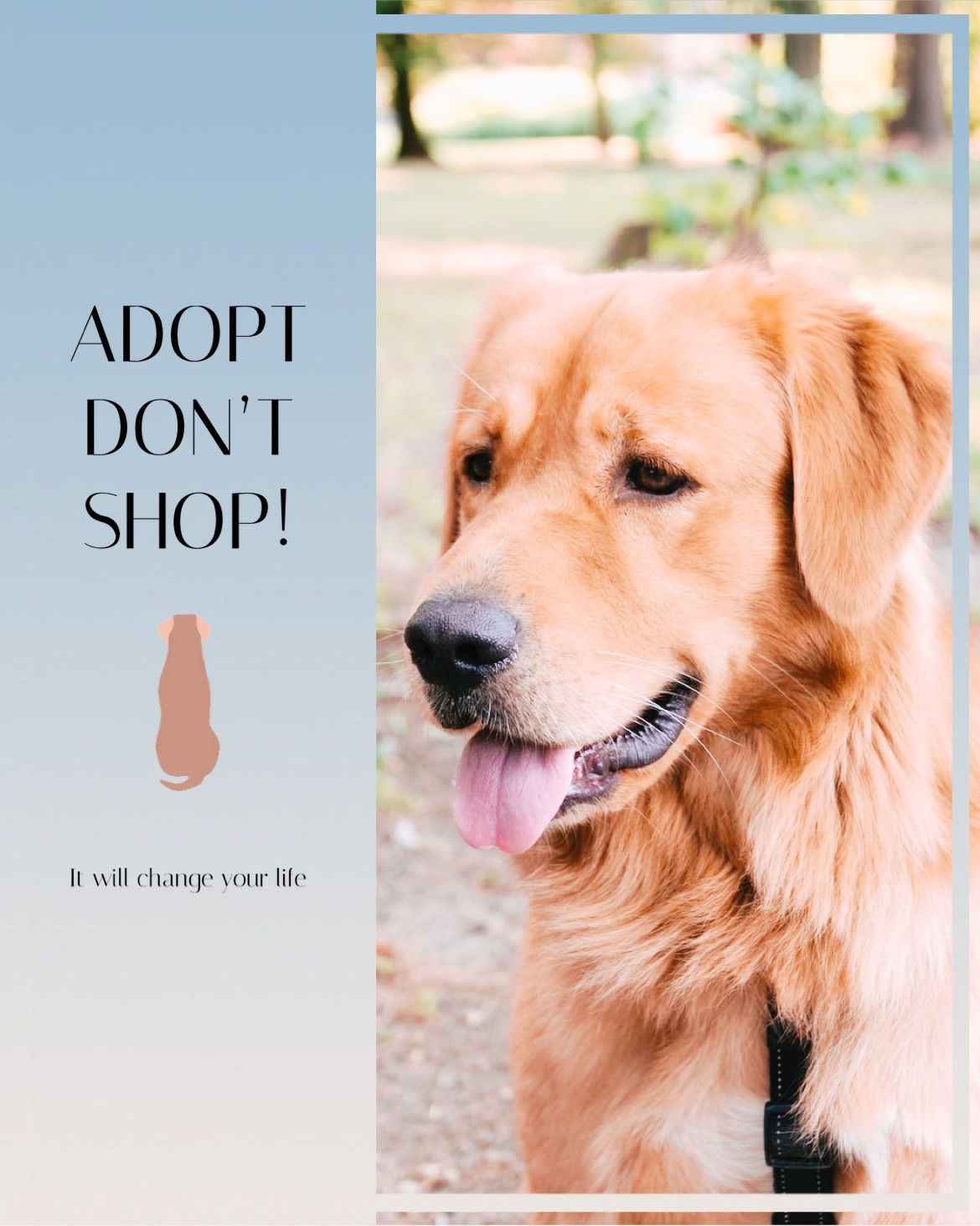 A Dog With Its Tongue Out And A Sign That Says Adopt Don'T Shop Pets Template