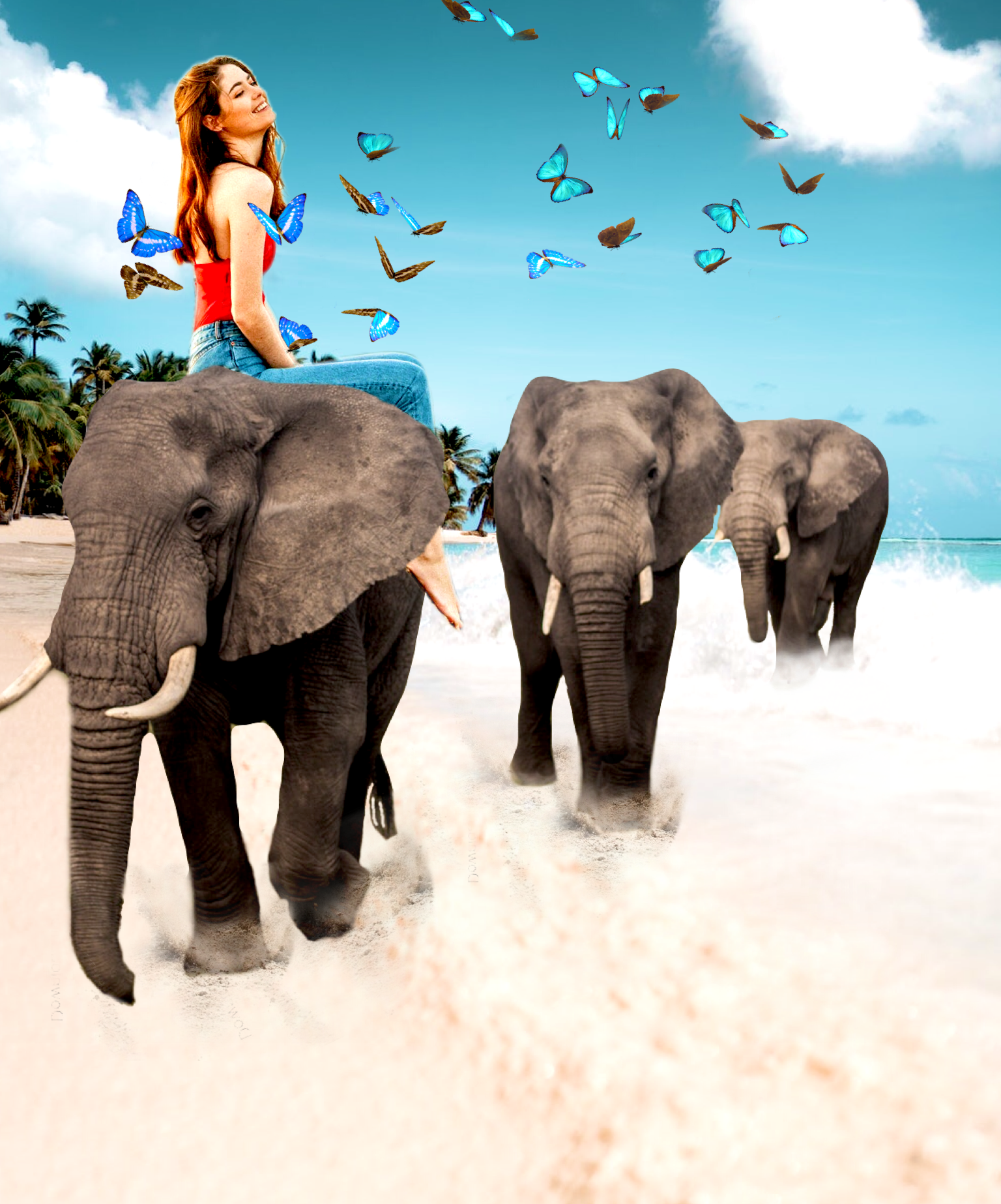 A Woman Riding On The Back Of An Elephant Collage Art Template