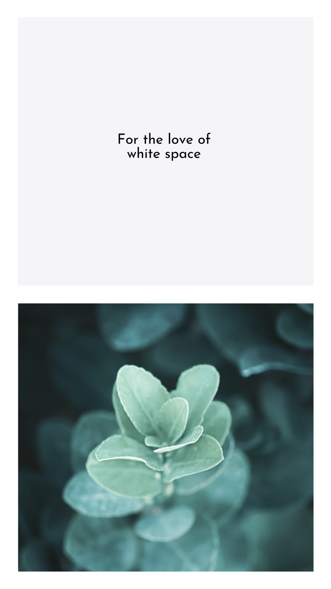 For love plants and white background simple story template