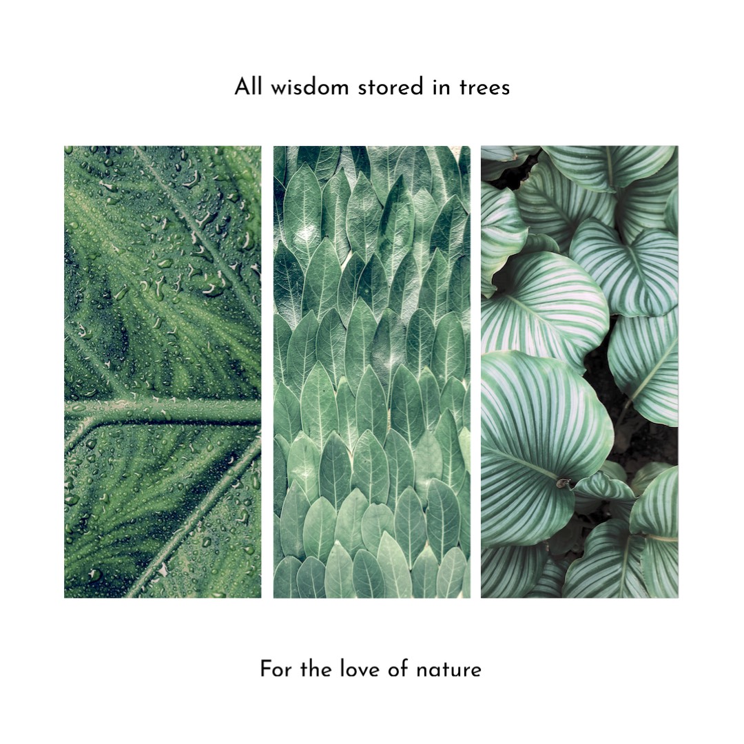 Green Leaves Nature Cool Instagram Post Template