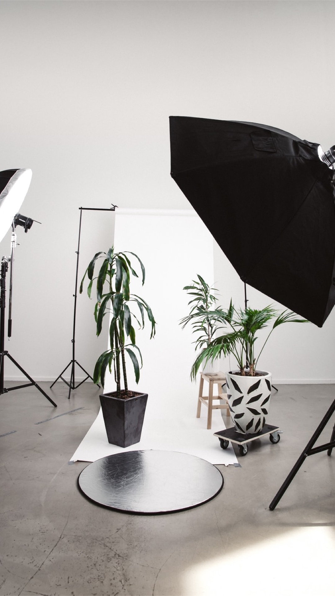 A Photo Studio With A Black Umbrella And Potted Plants Zoom Backgrounds Template