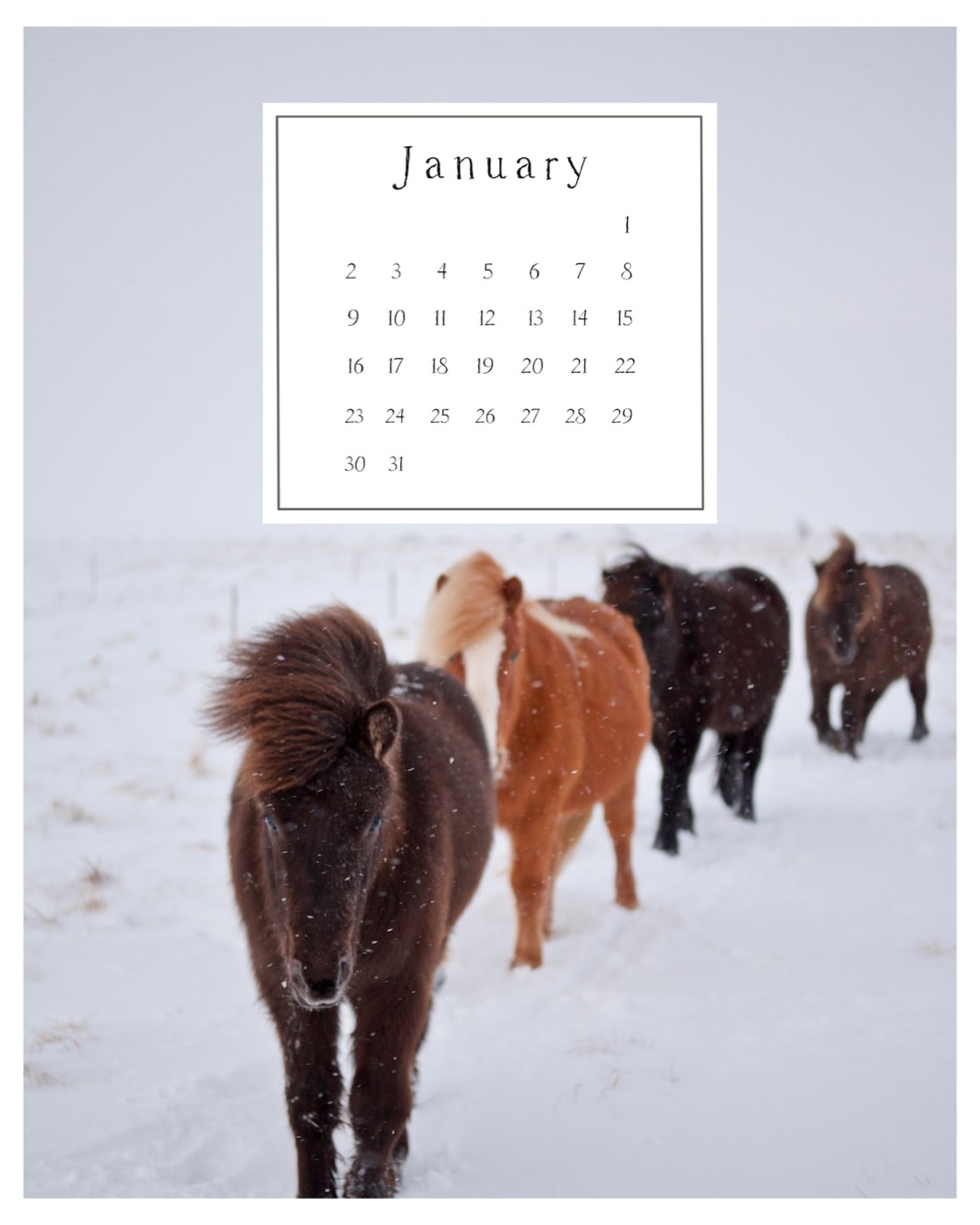 January calendar with horses in the snow Winter Wonderland template