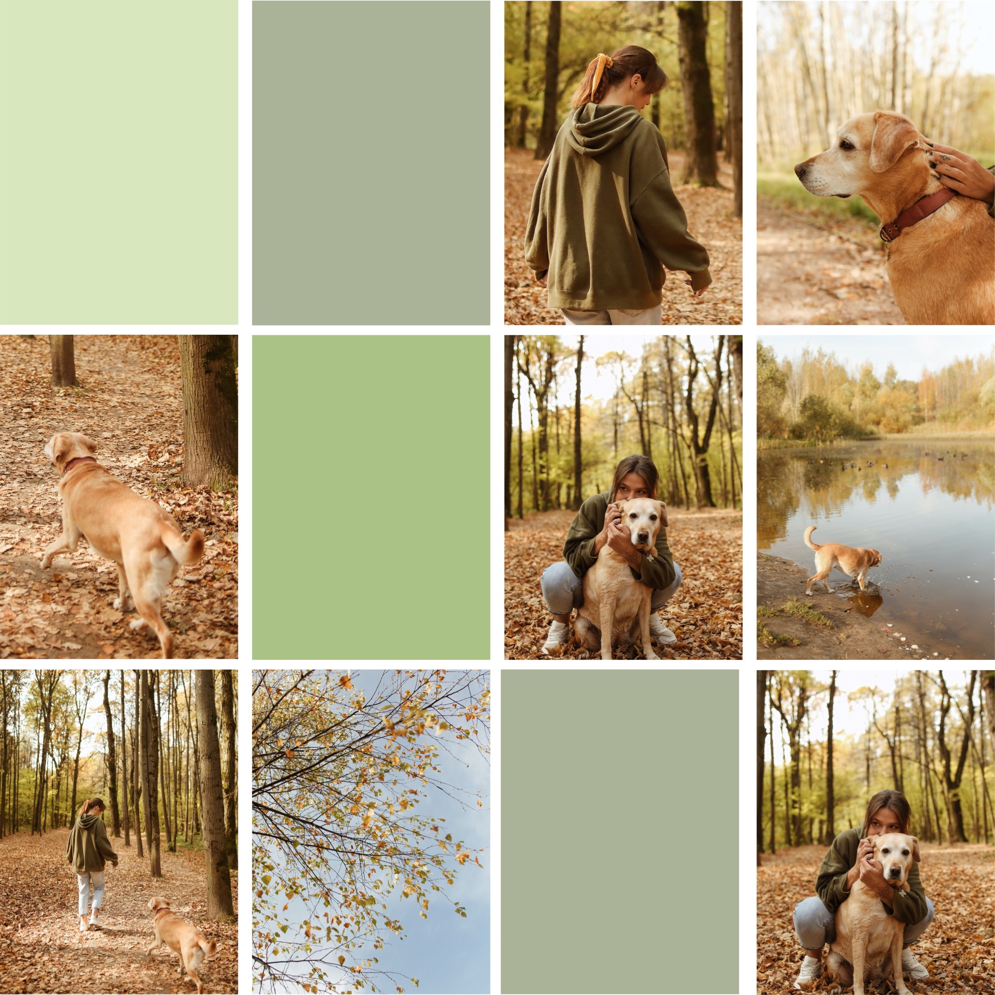 green and beige Minimalistic dogs and a girl Collage