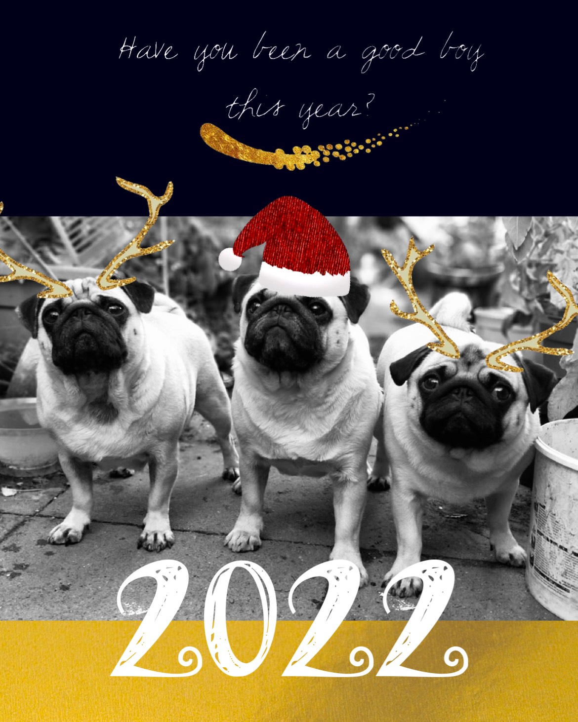 A Group Of Pug Dogs Wearing Christmas Hats Merry Christmas Template