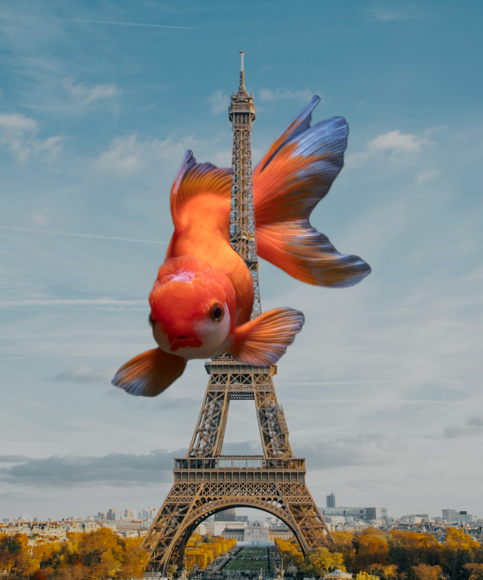 fish over the Eiffel Tower collage 