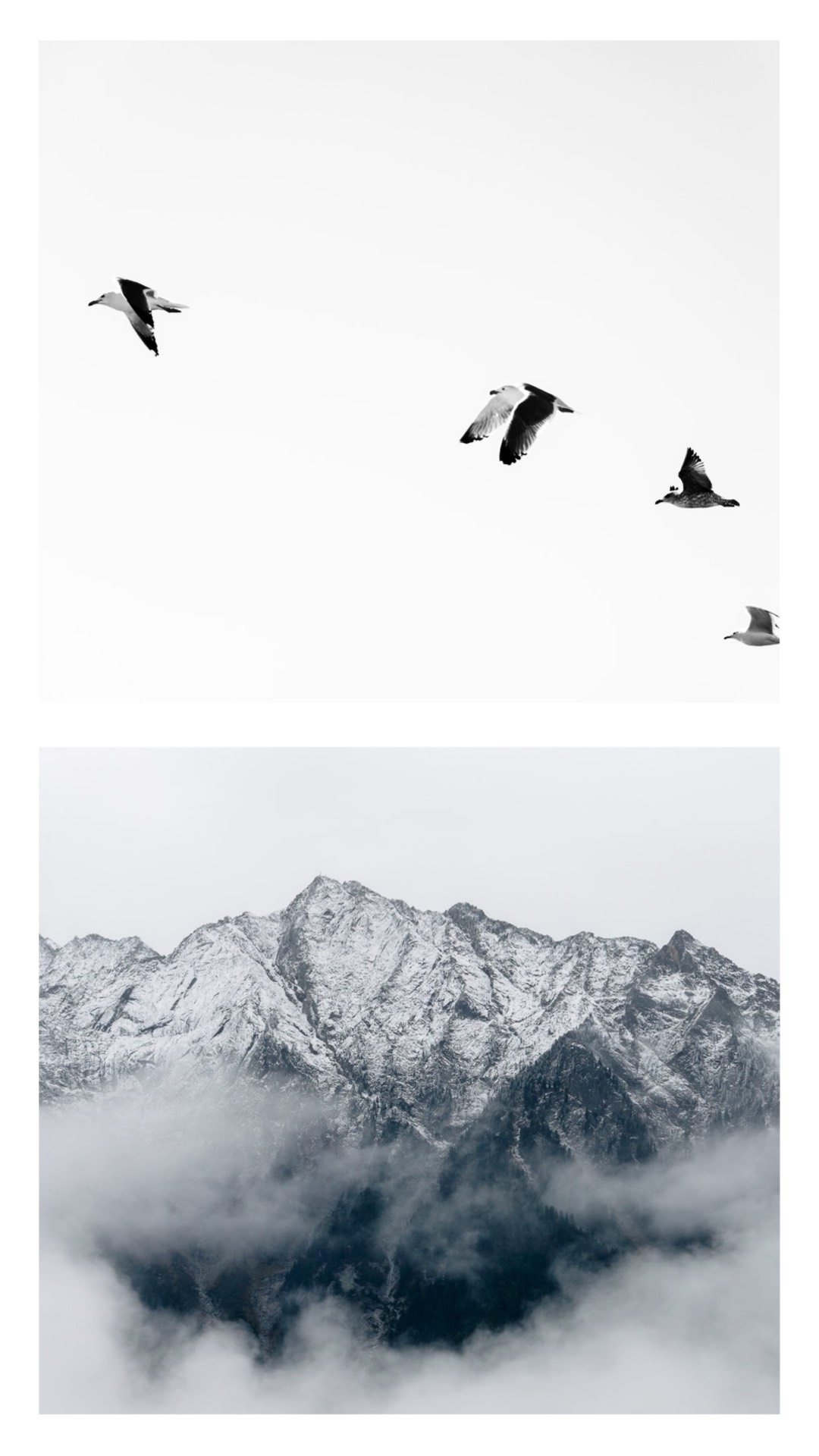 Birds and mountain black and white simple story template