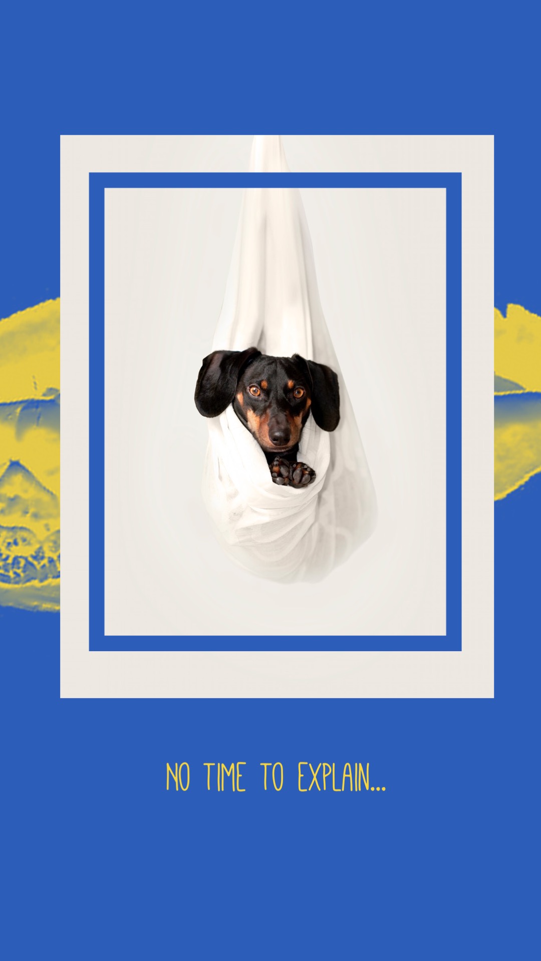 Cute Dog In Hammock Instagram Story Template